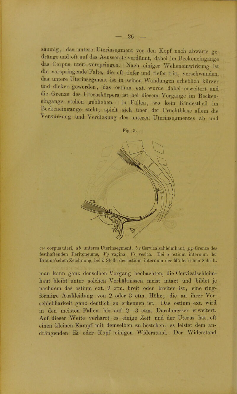 säumig-^ das untere Uterinsegment vor den Kopf nach abwärts ge- drängt und oft auf das Aeusserste verdünnt, dabei im Beckeneingange das Corpus uteri vorspringen. Nach einiger Weheneinwirkung ist die vorspringende Falte, die oft tiefer und tiefer tritt, verschwunden, das untere Uterinsegment ist in seinen Wandungen erhebhch kürzer und dicker geworden, das ostium ext. wurde dabei erweitert und die Grenze des Uteruskörpers ist bei diesem Vorgange im Becken- eingange stehen gebHeben. In Fällen, wo kein Kindestheil im Beckeneingange steht, spielt sich über der Fruchtblase allein die Verkürzung und Verdickung des unteren Uterinsegmentes ab und Fig. 3. cu corpus uteri, ab unteres Uterinsegment, b c Cervicalsclileimhaut, 2>P Grenze des festhaftenden Peritoneums, Vg vagina, Vs vesica. Bei a ostium internum der Braune'schen Zeichnung, bei b Stelle des ostium internum der Müller'schen Schrift. man kann ganz denselben Vorgang beobachten, die Cervicalschleim- haut bleibt unter solchen Verhältnissen meist intact und bildet je nachdem das ostium ext. 2 ctm. breit oder breiter ist, eine ring- förmige Auskleidung von 2 oder 3 ctm. Höhe, die an ihrer Ver- schiebbarkeit ganz deutlich zu erkennen ist. Das ostium ext. wird in den meisten Fällen bis auf 2—8 ctm. Durchmesser erweitert. Auf dieser Weite verharrt es einige Zeit und der Uterus hat oft einen kleinen Kampf mit demselben zu bestehen; es leistet dem an- drängenden Ei oder Kopf einigen Widerstand. Der Widerstand