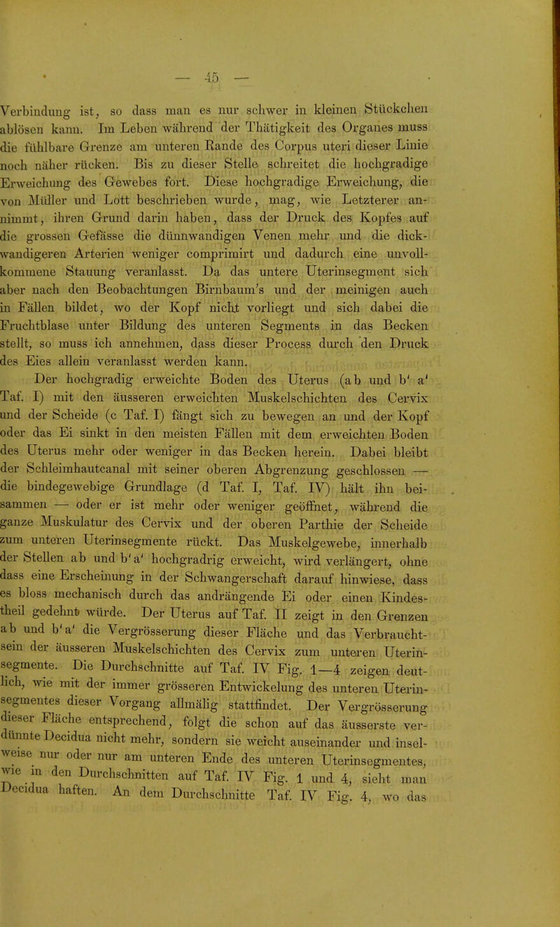 Verbindung ist, so dass man es nur schwer in Ideinen Stückchen ablösen kann. Im Leben während der Thätigkeit des Organes muss die fühlbare Grenze am unteren Rande des Corpus uteri dieser Linie noch näher rücken. Bis zu dieser Stelle schreitet die hochgradige Erweichung des Gewebes fort. Diese hochgradige Erweichung, die von Müller und Lott beschrieben wurde, mag, wie Letzterer an- nimmt , ihren Grund darin haben, dass der Druck des Kopfes auf die grossen Gefasse die dünnwandigen Venen mehr und die dick- wandigeren Arterien weniger comprimirt und dadurch eine unvoU^; kommene Stauung veranlasst. Da das untere Uterinsegment sich aber nach den Beobachtungen Birnbaum's und der meinigen auch in Fällen bildet, wo der Kopf nicht vorliegt mid sich dabei die Fruchtblase unter Bildung des unteren Segments in das Becken stellt, so muss ich annehmen, dass dieser Process durch den Druck des Eies allein veranlasst werden kann. Der hochgradig erweichte Boden des Uterus (ab und b' a' Taf. I) mit den äusseren erweichten Muskelschichten des Cervix und der Scheide (c Taf. I) fängt sich zu bewegen an und der Kopf oder das Ei sinkt in den meisten Fällen mit dem erweichten Boden des Uterus mehr oder weniger in das Becken herein. Dabei bleibt der Schleimhautcanal mit seiner oberen Abgrenzung geschlossen — die bindegewebige Grundlage (d Taf. I, Taf. IV) hält ihn bei- sammen — oder er ist mehr oder weniger geöffnet, während die ganze Muskulatur des Cervix und der oberen Parthie der Scheide zum unteren Utermsegmente rückt. Das Muskelgewebe, innerhalb der Stellen ab und b' a' hochgradrig erweicht, wird verlängert, ohne dass eine Erscheinung in der Schwangerschaft darauf hinwiese, dass es bloss mechanisch durch das andrängende Ei oder einen Kindes- theil gedehnt) würde. Der Uterus auf Taf. II zeigt in den Grenzen ab und b'a' die Vergrösserung dieser Fläche und das Verbraucht- sein der äusseren Muskelschichten des Cervix zum unteren Uterin- segmente. Die Durchschnitte auf Taf. IV Fig. 1—4 zeigen deut- lich, wie mit der immer grösseren Entwickelung des unteren Uterin- segmentes dieser Vorgang allmähg stattfindet. Der Vergrösserung dieser Fläche entsprechend, folgt die schon auf das äusserste ver- dünnte Decidua nicht mehr, sondern sie weicht auseinander und insel- weise nur oder nur am unteren Ende des unteren Uterinsegmentes, wie m den Durchschnitten auf Taf. IV Fig. 1 und 4, sieht man Decidua haften. An dem Durchschnitte Taf. IV Fig. 4, wo das