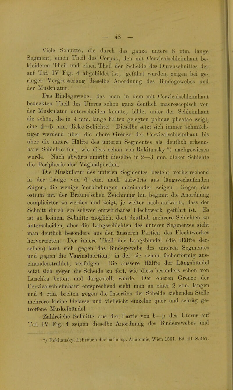 Viele Schnitte, die durch das ganze untere 8 ctm. lange Segment, einen Theil des Corpus, den mit Cervicalschleimhaut be- kleideten Theil und einen Theil der Scheide des Durchschnittes der auf Taf, IV Fig. 4 abgebildet ist, geführt wurden, zeigen bei ge- ringer Vergrösserung dieselbe Anordnung des Bindegewebes und der Muskulatur. Das Bindegewebe, das mau in dem mit Cervicalschleimhaut bedeckten Theil des Uterus schon ganz deutlich macroscopisch von der Muskulatur unterscheiden konnte, bildet unter der Schleimhaut die schön, die in 4 mm. lange Falten gelegten palmae plicatae zeigt, eine 4—5 mm. dicke Schichte. Dieselbe setzt sich immer schmäch- tiger werdend über die obere Grenze der Cervicalschleimhaut bis über die untere Hälfte des unteren Segmentes als deutlich erkenn- bare Schichte fort, wie diess schon von Rokitansky *) nachgewiesen wurde. Nach abwärts umgibt dieselbe in 2—3 mm. dicker Schichte die Peripherie der Vagiualportion. Die Muskulatur des unteren Segmentes besteht vorherrschend in der Länge von 6 ctm, nach aufwärts aus längsverlaufenden Zügen, die wenige Verbindungen miteinander zeigen. Gegen das ostium int. der Braune'schen Zeichnung hin beginnt die Anordnung complicirter zu werden und zeigt, je weiter nach aufwärts, dass der Schnitt durch ein schwer entwirrbares Flechtwerk geführt ist. Es ist an keinem Schnitte möglich, dort deutlich mehrere Schichten zu unterscheiden, aber die Längsschichten des unteren Segmentes sieht man deutlich besonders aus den äusseren Partien des Flechtwerkes hervortreten. Der innere Theil der Längsbündel (die Hälfte der- selben) lässt sich gegen das Bindegewebe des unteren Segmentes und gegen die Vaginalportion, in der sie schön fächerförmig aus- einanderstrahlet, verfolgen. Die äussere Hälfte der Längsbündel setzt sich gegen die Scheide zu fort, wie diess besonders schon von Luschka betont und dargestellt wurde. Der oberen Grenze der Cervicalschleimhaut entsprechend sieht man an einer 2 ctm. langen und 1 ctm. breiten gegen die Lisertion der Scheide ziehenden Stelle mehrere kleine Gefässe und vielleicht einzelne quer und schräg ge- troffene Muskelbündel. Zahlreiche Schnitte aus der Partie von b—p des Uterus auf Taf. IV Fig. 1 zeigen dieselbe Anordnung des Bindegewebes und *) Rokitansky, Lehrbuch der ]jatholog. Anatomie, Wien 1861. Btl. III. S.457.
