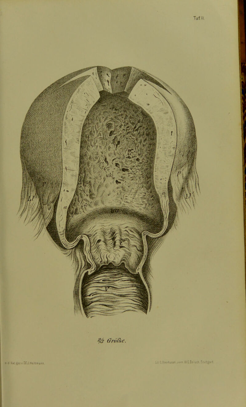 ^/j ßröPse. Lit fi.fijsnhuseo.vprT' V/.O.B? ••.vl