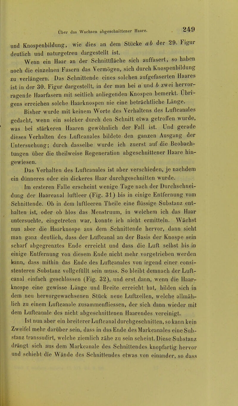 und Knospenbildung, wie dies an dem Stücke ab der 29. Figur deutlich und naturgetreu dargestellt ist. Wenn ein Haar an der Schnittfläche sich auffasert, so haben noch die einzelnen Fasern das Vermögen, sich durch Knospenbildung zu verlängern. Das Schnittende eines solchen aufgefaserten Haares ist in der 30. Figur dargestellt, in der man bei a und b zwei hervor- ragende Haarfasern mit seitlich anliegenden Knospen bemerkt. Übri- gens erreichen solche Haarknospen nie eine beträchtliche Länge. Bisher wurde mit keinem Worte des Verhaltens des Luftcanales gedacht, wenn ein solcher durch den Schnitt etwa getroffen wurde, was bei stärkeren Haaren gewöhnlich der Fall ist. Und gerade dieses Verhalten des Luftcanales bildete den ganzen Ausgang der Untersuchung; durch dasselbe wurde ich zuerst auf die Beobach- tungen über die theilweise Regeneration abgeschnittener Haare hin- gewiesen. Das Verhalten des Luftcanales ist aber verschieden, je nachdem ein dünneres oder ein dickeres Haar durchgeschnitten wurde. Im ersteren Falle erscheint wenige Tage nach der Durchschnei- dung der Haarcanal luftleer (Fig. 31) bis in einige Entfernung vom Schnittende. Ob in dem luftleeren Theile eine flüssige Substanz ent- halten ist, oder ob blos das Menstruum, in welchem ich das Haar untersuchte, eingetreten war, konnte ich nicht ermitteln. Wächst nun aber die Haarknospe aus dem Schnittende hervor, dann sieht man ganz deutlich, dass der Luftcanal an der Basis der Knospe sein scharf abgegrenztes Ende erreicht und dass die Luft selbst bis in einige Entfernung von diesem Ende nicht mehr vorgetrieben werden kann, dass mithin das Ende des Luftcanales von irgend einer consi- stenteren Substanz vollgefüllt sein muss. So bleibt demnach der Luft- canal einfach geschlossen (Fig. 32), und erst dann, wenn die Haar- knospe eine gewisse Länge und Breite erreicht hat, bilden sich in dem neu hervorgewachsenen Stück neue Luftzellen, welche allmäh- lich zu einem Luftcanale zusammenfliessen, der sich dann wieder mit dem Luftcanale des nicht abgeschnittenen Haarendes vereinigt. Ist nun aber ein breitcrerLuftcanal durchgeschnitten, so kann kein Zweifel mehr darüber sein, dass in das Ende desMarkcanales eine Sub- stanz transsudirt, welche ziemlich zähe zu sein scheint. Diese Substanz drängt sich aus dem Markcanale des Schnittendes knopfarlig hervor und schiebt die Wände des Schnittendes etwas von einander, so dass