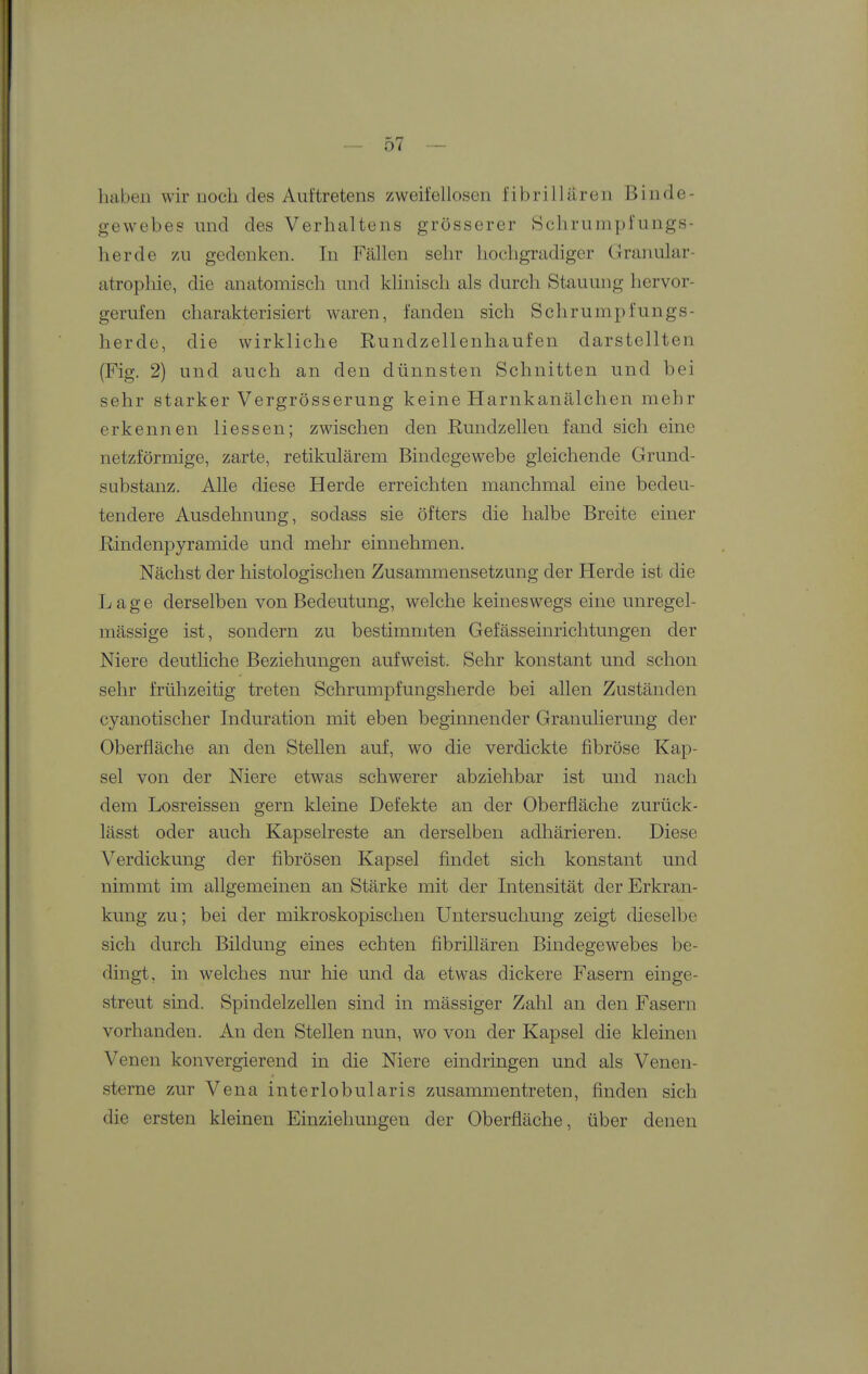 haben wir noch des Auftretens zweiiellosen fibrillären Binde- gewebes und des Verhaltens grösserer Schrumpfungs- herde zu gedenken. In Fällen sehr hochgradiger Granular- atrophie, die anatomisch und klinisch als durch Stauung hervor- gerufen charakterisiert waren, fanden sich Schrumpfungs- herde, die wirkliche Rundzellenhaufen darstellten (Fig. 2) und auch an den dünnsten Schnitten und bei sehr starker Vergrösserung keine Harnkanälchen mehr erkennen Hessen; zwischen den Rundzellen fand sich eine netzförmige, zarte, retikulärem Bindegewebe gleichende Grund- substanz. Alle diese Herde erreichten manchmal eine bedeu- tendere Ausdehnung, sodass sie öfters die halbe Breite einer Rindenpyramide und mehr einnehmen. Nächst der histologischen Zusammensetzung der Herde ist die Lage derselben von Bedeutung, welche keineswegs eine unregel- mässige ist, sondern zu bestimmten Gefässeinrichtungen der Niere deutliche Beziehungen aufweist. Sehr konstant und schon sehr frühzeitig treten Schrumpfungsherde bei allen Zuständen cyanotischer Induration mit eben beginnender Granulierung der Oberfläche an den Stellen auf, wo die verdickte fibröse Kap- sel von der Niere etwas schwerer abziehbar ist und nach dem Losreissen gern kleine Defekte an der Oberfläche zurück- lässt oder auch Kapselreste an derselben adhärieren. Diese Verdickung der fibrösen Kapsel findet sich konstant und nimmt im allgemeinen an Stärke mit der Intensität der Erkran- kung zu; bei der mikroskopischen Untersuchung zeigt dieselbe sich durch Bildung eines echten fibrillären Bindegewebes be- dingt, in welches nur hie und da etwas dickere Fasern einge- streut sind. Spindelzellen sind in mässiger Zahl an den Fasern vorhanden. An den Stellen nun, wo von der Kapsel die kleinen Venen konvergierend in die Niere eindringen und als Venen- sterne zur Vena interlobularis zusammentreten, finden sich die ersten kleinen Einziehungen der Oberfläche, über denen