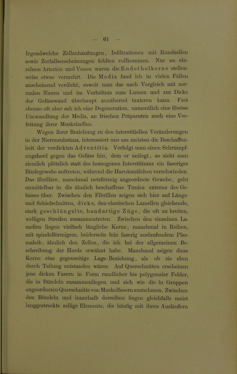 Irgendwelche Zelkiiihäufuiigen, Infiltrationen mit Rundzellen sowie Zerfallsersclieinungen fehlten vollkommen. Nur an ein- zelnen Arterien und Venen waren die E n d o t h e 1 k e r n e stellen- weise etwas vermehrt. Die Media fand ich in vielen Fällen anscheinend verdickt, soweit man das nach Vergleich mit nor- malen Nieren und im Verhältnis zum Lumen und zur Dicke der Gefässwand überhaupt annähernd taxieren kann. Fast ebenso oft aber sah ich eine Degeneration, namentlich eine fibröse Umwandlung der Media, an frischen Präparaten auch eine Ver- fettung ihrer Muskelzellen. Wegen ihrer Beziehung zu den interstitiellen Veränderungen in der Nierensubstanz, interessiert uns am meisten die Beschaffen- heit der verdickten Ad ventitia. Verfolgt man einen Schrumpf- ungsherd gegen das Gefäss hin, dem er anliegt, so sieht man ziemhch plötzlich statt des homogenen Interstitiums ein faseriges Bindegewebe auftreten, während die Harnkanälchen verschwinden. Das fibrilläre, manchmal netzförmig angeordnete Gewebe, geht unmittelbar in die ähnhch beschaffene Tunica externa des Ge- fässes über. Zwischen den Fibrillen zeigen sich hier auf Längs- und Scliiefschnitten, dicke, den elastischen Lamellen gleichende, stark geschlängelte, bandartige Züge, die oft zu breiten, welligen Streifen zusammentreten. Zwischen den einzelnen La- mellen Hegen vielfach längliche Kerne, manchmal in Reihen, mit spindelförmigem, beiderseits fein faserig auslaufendem Plas- maleib, ähnlich den Zellen, die ich bei der allgemeinen Be- schreibung der Herde erwähnt habe. Manchmal zeigen diese Kerne eine gegenseitige Lage-Beziehung, als ob sie eben durch Teilung entstanden wären. Auf Quersclmitten erscheinen jene dicken Fasern in Form rundlicher bis polygonaler Felder, die in Bündeln zusammenliegen und sich wie die in Gruppen angeordneten Querschnitte von Muskelfasern ausnehmen. Zwischen den Bündeln und innerhalb derselben liegen gleichfalls meist langgestreckte zellige Elemente, die häufig mit ihren Ausläufern