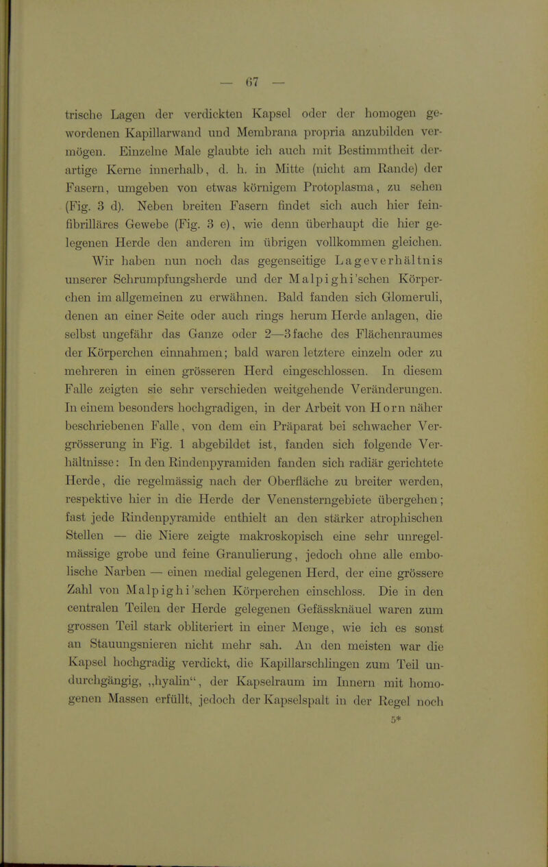 — — trische Lagen der verdickten Kapsel oder der homogen ge- wordenen Kapillarwand und Membrana propria anzubilden ver- mögen. Einzelne Male glaubte ich auch mit Bestimmtheit der- artige Kerne innerhalb, d. h. in Mitte (nicht am Rande) der Fasern, umgeben von etwas körnigem Protoplasma, zu sehen (Fig. 3 d). Neben breiten Fasern findet sich auch hier i'ein- fibrilläres Gewebe (Fig. 3 e), wie denn überhaupt die hier ge- legenen Herde den anderen im übrigen vollkommen gleichen. Wir haben nun noch das gegenseitige Lageverhältnis unserer Schrumpfungsherde und der Malpighi'sehen Körper- chen im allgemeinen zu erwähnen. Bald fanden sich Glomeruli, denen an einer Seite oder auch rings herum Herde anlagen, die selbst ungefähr das Ganze oder 2—3 fache des Flächenraumes der Körperchen einnahmen; bald waren letztere einzeln oder zu mehreren in einen grösseren Herd eingeschlossen. In diesem Falle zeigten sie sehr verschieden weitgehende Veränderungen. In einem besonders hochgradigen, in der Arbeit von Horn näher beschriebenen Falle, von dem ein Präparat bei schwacher Ver- grösserung in Fig. 1 abgebildet ist, fanden sich folgende Ver- hältnisse : In den Rindenpyramiden fanden sich radiär gerichtete Herde, die regelmässig nach der Oberfläche zu breiter werden, respektive hier in die Herde der Venensterngebiete übergehen; fast jede Rindenpyramide enthielt an den stärker atrophischen Stellen — die Niere zeigte makroskopisch eine sehr unregel- mässige grobe und feine Granulierung, jedoch ohne alle embo- lische Narben — einen medial gelegenen Herd, der eine grössere Zahl von Malpighi'sehen Körperchen einschloss. Die in den centralen Teilen der Herde gelegenen Gefässknäuel waren zum grossen Teil stark obhteriert in einer Menge, wie ich es sonst an Stauungsnieren nicht mehr sah. An den meisten war die Kapsel hochgradig verdickt, die Kapillarschlingen zum Teil un- durchgängig, „hyalin, der Kapselraum im Innern mit homo- genen Massen erfüllt, jedoch der Kapselspalt in der Regel noch 5*