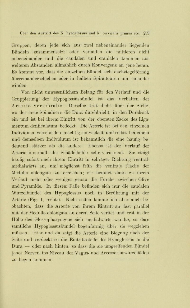 Gruppen, deren jede sicli aus zwei nebeneinander liegenden Biindeln zusammensetzt oder verlaufen die mittleren dicht nebeneinander und die caudalen und cranialen kommen aus weiteren Abstanden allmahlich durch Konvergenz an jene heran. Es kommt vor, dass die einzelnen Blindel sicli dachziegelformig iibereinanderschieben oder in halben Spiraltouren um einander winden. Von nicht unwesentlichem Belang fur den Verlauf und die Gruppierung der Hypoglossusbiindel ist das Verhalten der Arteria vertebralis. Dieselbe tritt dicht liber der Stelle, wo der erste Spinalnerv die Dura durchbricht, in den Duralsack ein und ist bei ihrem Eintritt von der obersten Zacke des Liga- mentum denticulatum bedeckt. Die Arterie ist bei den einzelnen Individuen verschieden machtig entwickelt und selbst bei einem und demselben Individuum ist bekanntlich die eine haufig be- deutend starker als die andere. Ebenso ist der Verlauf der Arterie innerhalb der Schadelhohle selir variierend. Sie steigt haufig sofort nach ihrem Eintritt in schrager Richtung ventral- medial warts an, um moglichst frith die ventrale Flache der Medulla oblongata zu erreichen; sie benutzt dann zu ihrem Verlauf mehr oder weniger genau die Furche zwischen Olive und Pyramide. In diesem Falle befinden sicli nur die caudalen Wurzelbiindel des Hypoglossus noch in Beriihrung mit der Arterie (Fig. 1, rechts). Nicht selten konnte ich aber aucli be- obachten, dass die Arterie von ihrem Eintritt an fast parallel mit der Medulla oblongata an deren Seite verlief und erst in der Hohe des Glossopharyngeus sicli medialwarts wandte, so dass samtliche Hypoglossusbiindel bogenformig liber sie wegziehen miissen. Hier und da zeigt die Arterie eine Biegung nach der Seite und verdeckt so die Eintrittsstelle des Hypoglossus in die Dura — oder nach hinten, so dass die sie umgreifenden Blindel jenes Nerven ins Niveau der Vagus- und Accessoriuswurzelfaden zu liegen kommen.