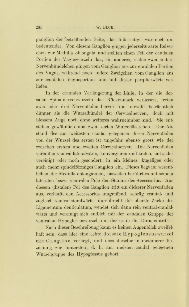 ganglion der betreffenden Seite, das linksseitige war noch un- bedeutender. Von diesem Ganglion gingen jederseits zarte Reiser- chen zur Medulla oblongata und stellten einen Teil der caudalen Portion der Vaguswurzeln dar; ein anderes, rechts zwei andere Nervenbiindelchen gingen vom Ganglion aus zur cranialen Portion des Vagus, wahrend noch andere Zweigcben vom Ganglion aus zur caudalen Vagusportion und mit dieser peripherwarts ver- liefen. In der cranialen Verlangerung der Linie, in der die dor- salen Spinalnervenwurzeln das Riickenmark verlassen, treten zwei oder drei Nervenfaden hervor, die, obwolil betrachtlich diinner als die Wurzelbtindel der Cervicalnerven, doch mit blossem Auge noch ohne weiteres wahrnelimbar sind. Sie ent- stehen gewohnlicli aus zwei zarten Wurzelfaserchen. Der Ab- stand des am weitesten caudal gelegenen dieser Nervenfaden von der Wurzel des ersten ist ungefahr ebenso gross wie der zwischen erstem und zweiten Cervicalnerven. Die Nervenfaden verlaufen ventral-lateralwarts, konvergieren und treten, entweder vereinigt oder noch gesondert, in ein kleines, kugeliges oder auch mehr spindelformiges Ganglion ein. Dieses liegt im wesent- lichen der Medulla oblongata an, bisweilen beriihrt es mit seinem lateralen bezw. ventralen Pole den Stamm des Accessorius. Aus diesem (distalen) Pol des Ganglion tritt ein dickerer Nervenfaden aus, verlauft, den Accessorius umgreifend, sehrag cranial- und zugleich ventro-lateralwarts, durchbricht die oberste Zacke des Ligamentum denticulatum, wendet sich dann rein ventral-cranial- wiirts und vereinigt sich endlich mit der caudalen Gruppe der ventralen Hypoglossuswurzel, mit der er in die Dura eintritt. Nach dieser Beschreibung kann es keinen Augenblick zweifel- haft sein, dass bier eine eclite dor sale Hyp ogloss us wurzel mit Ganglion vorliegt, und dass dieselbe in metamerer Be- ziehung zur hintersten, d. li. am meisten caudal gelegenen Wurzelgruppe des Hypoglossus gehort.