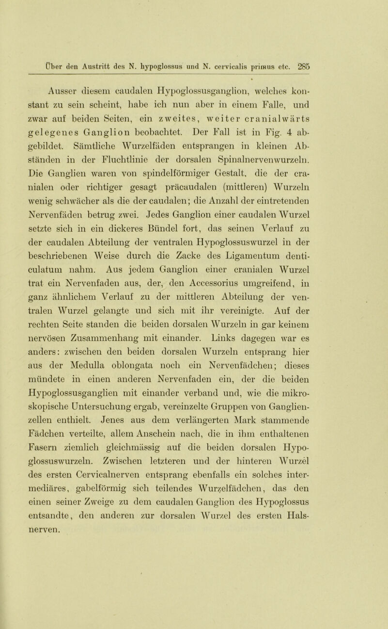 Ausser diesem caudalen Hypoglossusganglion, welches kon- stant zu sein scheint, liabe ich nun aber in einem Falle, und zwar auf beiden Seiten, ein zweites, weiter cranial warts gelegenes Ganglion beobaclitet. Der Fall ist in Fig. 4 ab- gebildet. Samtliche Wurzelfaden entsprangen in kleinen Ab- standen in der Fluchtlinie der dorsalen Spinalnervenwurzeln. Die Ganglien waren von spindelformiger Gestalt, die der cra- nialen oder richtiger gesagt pracaudalen (mittleren) Wurzeln wenig sellwiicher als die der caudalen; die Anzahl der eintretenden Nervenfaden betrug zwei. Jedes Ganglion einer caudalen Wurzel setzte sich in ein dickeres Biindel fort, das seinen Verlauf zu der caudalen Abteilung der ventralen Flypoglossuswurzel in der beschriebenen Weise durch die Zacke des Ligamentum denti- culatum nahm. Aus jedem Ganglion einer cranialen Wurzel trat ein Nervenfaden aus, der, den Accessorius umgreifend, in ganz ahnlichem Verlauf zu der mittleren Abteilung der ven- tralen Wurzel gelangte und sich mit ihr vereinigte. Auf der rechten Seite standen die beiden dorsalen Wurzeln in gar keinem nervosen Zusammenhang mit einander. Links dagegen war es anders: zwischen den beiden dorsalen Wurzeln entsprang bier aus der Medulla oblongata noch ein Nervenfadchen; dieses miindete in einen anderen Nervenfaden ein, der die beiden Hypoglossusganglien mit einander verband und, wie die mikro- skopische Untersuchung ergab, vereinzelte Gruppen von Ganglien- zellen enthielt. Jenes aus dem verlangerten Mark stammende Fadchen verteilte, allem Anschein nach, die in ihm enthaltenen Fasern ziemlicli gleichmassig auf die beiden dorsalen Hypo- glossus wurzeln. Zwischen letzteren und der hinteren Wurzel des ersten Cervicalnerven entsprang ebenfalls ein solches inter- mediates, gabelformig sich teilendes Wurzelfadchen, das den einen seiner Zweige zu dem caudalen Ganglion des Hypoglossus entsandte, den anderen zur dorsalen Wurzel des ersten Hals- nerven.