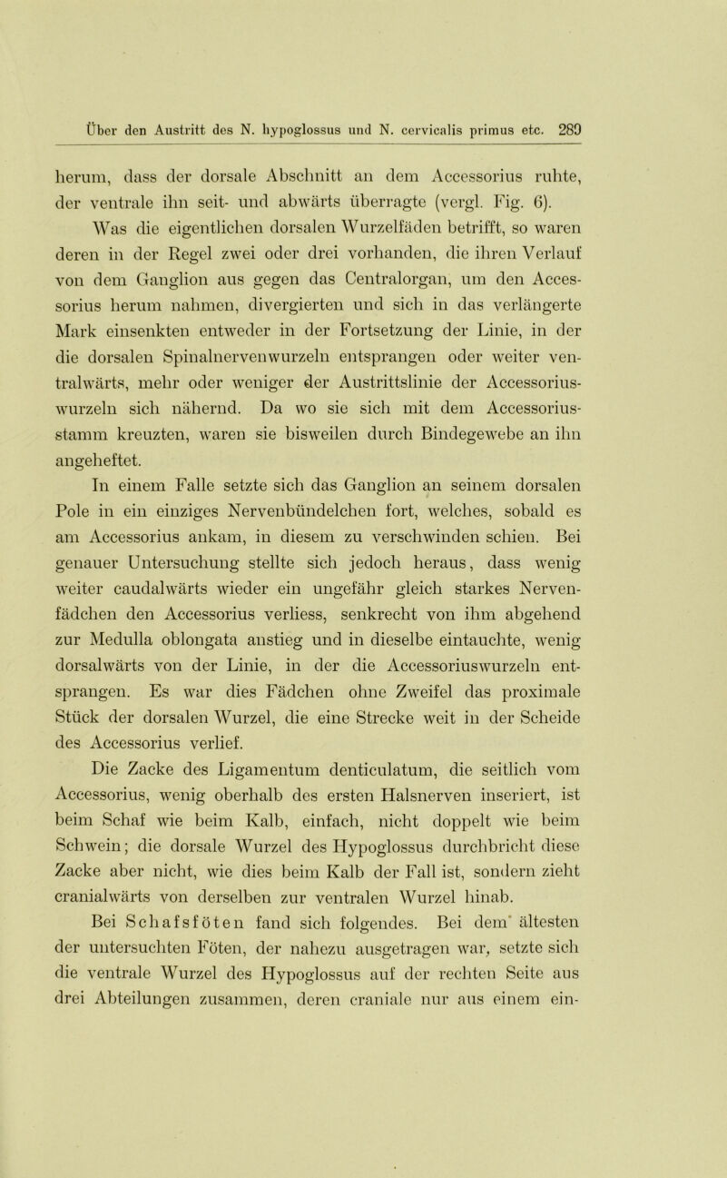 herum, dass der dorsale Abschnitt an dem Accessorius rulite, der ventrale ihn seit- und abwarts uberragte (vergl. Fig. 6). Was die eigentlichen dorsalen Wurzelfaden betrifft, so waren deren in der Regel zwei oder drei vorhanden, die ihren Verlauf von dem Ganglion aus gegen das Centralorgan, urn den Acces- sorius herum nahmen, divergierten und sich in das verlangerte Mark einsenkten entweder in der Fortsetzung der Linie, in der die dorsalen Spinalnervenwurzeln entsprangen oder weiter ven- tralwarts, mehr oder weniger der Austrittslinie der Accessorius- wurzeln sich nahernd. Da wo sie sich mit dem Accessorius- stamm kreuzten, waren sie bisweilen durch Bindegewebe an ihn angeheftet. In einem Falle setzte sich das Ganglion an seinem dorsalen Pole in ein einziges Nervenbiindelchen fort, welches, sobald es am Accessorius ankam, in diesem zu verschwinden schien. Bei genauer Untersucliung stellte sich jedoch heraus, dass wenig weiter caudal warts wieder ein ungefahr gleich starkes Nerven- fadchen den Accessorius verliess, senkrecht von ihm abgeliend zur Medulla oblongata anstieg und in dieselbe eintauchte, wenig dorsalwarts von der Linie, in der die Accessoriuswurzeln ent- sprangen. Es war dies Fadchen ohne Zweifel das proximale Stuck der dorsalen Wurzel, die eine Strecke weit in der Scheide des Accessorius verlief. Die Zacke des Ligamentum denticulatum, die seitlich vom Accessorius, wenig oberhalb des ersten Halsnerven inseriert, ist beim Schaf wie beim Kalb, einfach, niclit doppelt wie beim Schwein; die dorsale Wurzel des Hypoglossus durchbricht diese Zacke aber nicht, wie dies beim Kalb der Fall ist, sondern zieht cranial warts von derselben zur ventral en Wurzel hinab. Bei Schafsfoten fand sich folgendes. Bei dem altesten der untersuchten Foten, der nahezu ausgetragen war, setzte sich die ventrale Wurzel des Hypoglossus auf der rechten Seite aus drei Abteilungen zusammen, deren craniale nur aus einem ein-