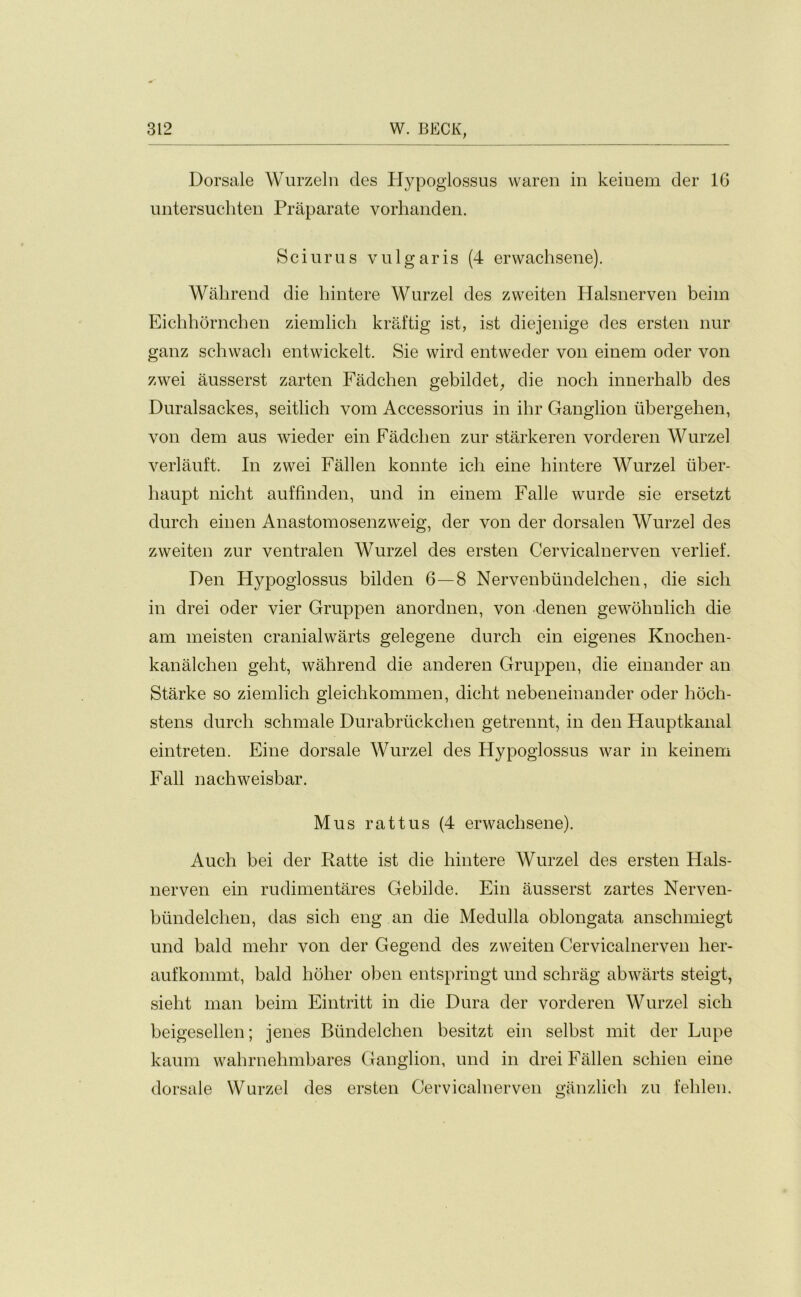 Dorsale Wurzeln des Hypoglossus waren in keinem der 16 untersuchten Praparate vorhanden. Sciurus vulgaris (4 erwachsene). Wakrend die hintere Wurzel des zweiten Halsnerven beim Eichhornchen ziemlich kraftig ist, ist diejenige des ersten nur ganz schwacb entwickelt. Sie wird entweder von einem oder von zwei ausserst zarten Fadchen gebildet, die nocli innerhalb des Duralsackes, seitlich vom Accessorius in ibr Ganglion iibergelien, von dem aus wieder ein Fadchen zur starkeren vorderen Wurzel verlauft. In zwei Fallen konnte ich eine hintere Wurzel uber- haupt nicht auffinden, und in einem Falle wurde sie ersetzt durcb einen Anastomosenzweig, der von der dorsalen Wurzel des zweiten zur ventralen Wurzel des ersten Cervicalnerven verlief. Den Hypoglossus bilden 6—8 Nervenbimdelchen, die sicli in drei oder vier Gruppen anordnen, von denen gewolmlich die am meisten cranialwarts gelegene durch ein eigenes Knochen- kanalcben gebt, wabrend die anderen Gruppen, die einander an Starke so ziemlich gleicbkommen, dicht nebeneinander oder hoch- stens durch schmale Durabriickcben getrennt, in den Hauptkanal eintreten. Eine dorsale Wurzel des Hypoglossus war in keinem Fall nachweisbar. Mus rattus (4 erwachsene). Audi bei der Ratte ist die hintere Wurzel des ersten Hals- nerven ein rudimentares Gebilde. Ein ausserst zartes Nerven- bundelchen, das sich eng an die Medulla oblongata anschmiegt und bald mebr von der Gegend des zweiten Cervicalnerven her- aufkommt, bald holier oben entspringt und schrag abwarts steigt, sielit man beim Eintritt in die Dura der vorderen Wurzel sicb beigesellen; jenes Bundelcben besitzt ein selbst mit der Lupe kaum wahrnehmbares Ganglion, und in drei Fallen schien eine dorsale Wurzel des ersten Cervicalnerven ganzlich zu feblen.
