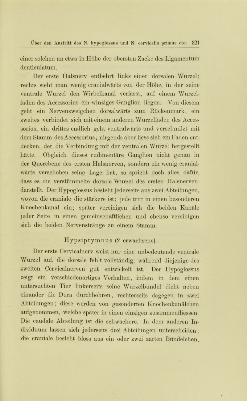 einer solclien an etwa in Holie der obersten Zacke des Ligamentum denticulatum. Der erste Halsnerv entbehrt links einer dorsalen Wurzel; rechts sieht man wenig cranialwarts von der Hohe, in der seine ventral e Wurzel den Wirbelkanal verlasst, aut einem Wurzel - faden des Accessorius ein winziges Ganglion liegen. Von diesem geht ein Nervenzweigchen dorsalwarts zum Ruckenmark, ein zweites verbindet sich mit einem anderen Wurzelfaden des Acces- sorius, ein drittes endlicli geht ventral warts und verschmilzt mit dem Stamm des Accessorius; nirgends aber Hess sich ein Faden ent- decken, der die Verbindung mit der ventralen Wurzel hergestellt hatte. Obgleich dieses rudimentare Ganglion nicht genau in der Querebene des ersten Halsnerven, sondern ein wenig cranial- warts verschoben seine Lage hat, so spricht dock alles dafiir, dass es die verstummelte dorsale Wurzel des ersten Halsnerven- darstellt. Der Hypoglossus besteht jederseits aus zwei Abteilungen, wo von die craniate die starkere ist; jede tritt in einen besonderen Knoclienkanal ein; spater vereinigen sich die beiden Kanale jeder Seite in einen gemeinschaftlichen und ebenso vereinigen sich die beiden Nervenstrange zu einem Stamm. Hypsiprymnus (2 erwachsene). Der erste Cervicalnerv weist nur eine unbedeutende ventrale Wurzel auf, die dorsale fehlt vollstandig, wahrend diejenige des zweiten Cervicalnerven gut entwickelt ist. Der Hypoglossus zeigt ein verschiedenartiges Verhalten, indem in dem einen untersuchten Tier linkerseits seine Wurzelbtindel dicht neben einander die Dura durchbohren, rechterseits dagegen in zwei Abteilungen; diese werden von gesonderten Knochenkanalchen aufgenommen, welche spater in einen einzigen zusammenfliessen. Die caudate Abteilung ist die schwachere. In dem anderen I11- dividuum lassen sich jederseits drei Abteilungen unterscheiden: die craniale besteht bloss aus ein oder zwei zarten Biindelchen,