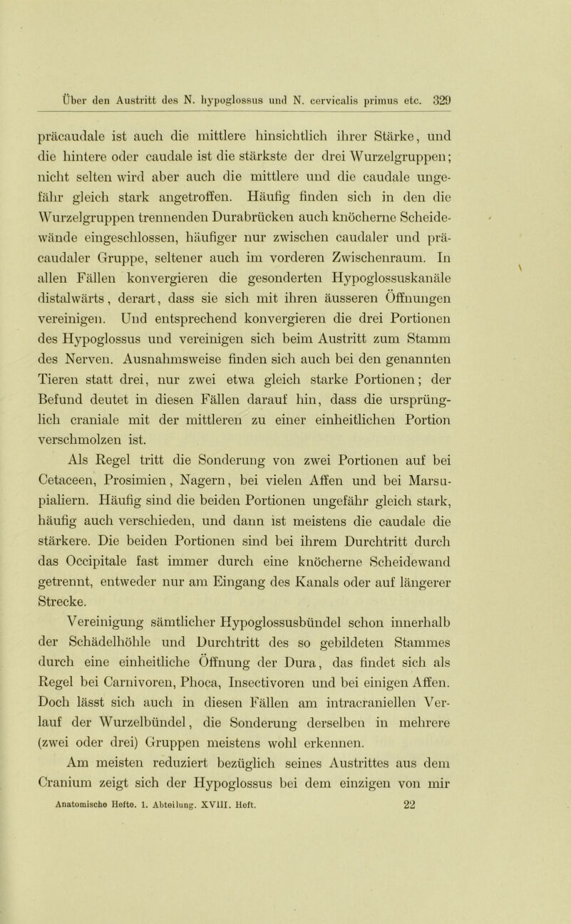 pracaudale ist aucli die mittlere hinsichtlich ihrer Starke, und die hintere oder caudale ist die starkste der drei Wurzelgruppen; nicht selten wird aber auch die mittlere und die caudale unge- fahr gleich stark angetroffen. Haufig finden sich in den die Wurzelgruppen trennenden Durabrucken auch knocherne Scheide- wande eingeschlossen, haufiger nur zwischen caudaler und pra- caudaler Gruppe, seltener auch im vorderen Zwischenraum. In alien Fallen konvergieren die gesonderten Hypoglossuskanale distalwarts, derart, dass sie sich mit ihren ausseren Offnungen vereinigen. Und entsprechend konvergieren die drei Portionen des Hypoglossus und vereinigen sich beim Austritt zum Stamm des Nerven. Ausnahmsweise finden sich auch bei den genannten Tieren statt drei, nur zwei etwa gleich starke Portionen; der Befund deutet in diesen Fallen darauf hin, dass die ursprung- lich craniale mit der mittleren zu einer einheitlichen Portion verschmolzen ist. Als Regel tritt die Sonderung von zwei Portionen auf bei Cetaceen, Prosimien, Nagern, bei vielen Alien und bei Marsn- pialiern. Haufig sind die beiden Portionen ungefahr gleich stark, haufig auch verschieden, und dann ist meistens die caudale die starkere. Die beiden Portionen sind bei ihrem Durchtritt durch das Occipitale last immer durch eine knocherne Scheidewand getrennt, entweder nur am Eingang des Kanals oder auf langerer Strecke. Vereinigung samtlicher Hypoglossusbiindel sclion innerhalb der Schadelliohle und Durchtritt des so gebildeten Stammes durch eine einheitliche Offnung der Dura, das findet sich als Regel bei Carnivoren, Phoca, Insectivoren und bei einigen Allen. Doch lasst sich auch in diesen Fallen am intracraniellen Ver- lauf der Wurzelbiindel, die Sonderung derselben in mehrere (zwei oder drei) Gruppen meistens wolil erkennen. Am meisten reduziert beziiglich seines Austrittes aus deni Cranium zeigt sich der Hypoglossus bei dem einzigen von mir Anatomische Hefte. 1. Abteilung. XV11I. Hoft. 22