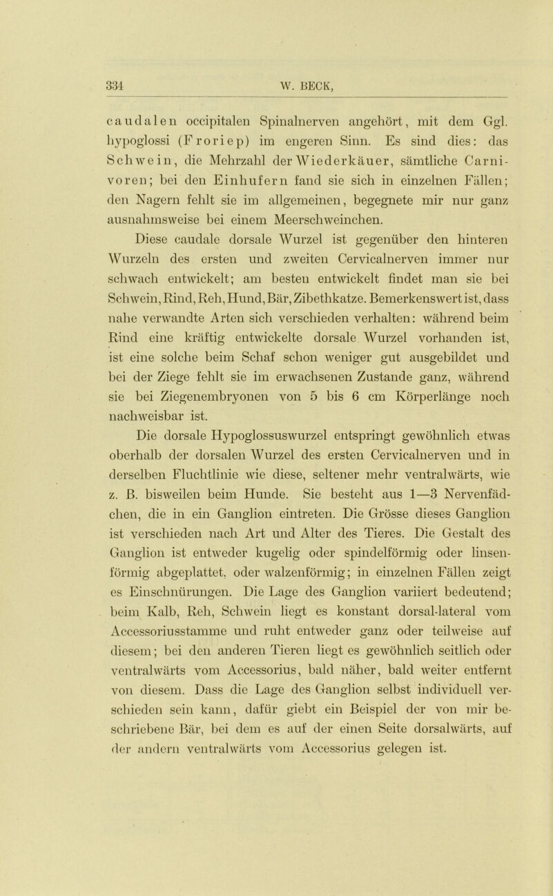 caudalen occipitalen Spinalnerven angehort, mit dem Ggl. hypoglossi (Froriep) im engeren Sinn. Es sind dies: das Schwein, die Mehrzahl der Wiederkauer, samtliche Garni- voren; bei den Einhufern fand sie sich in einzelnen Fallen; den Nagern felilt sie im allgemeinen, begegnete mir nur ganz ausnahmsweise bei einem Meerschweinchen. Diese caudale dorsale Wurzel ist gegeniiber den hinteren Wnrzeln des ersten und zweiten Cervicalnerven immer nur scliwach entwickelt; am besteu entwickelt findet man sie bei Schwein, Rind, Reh, Hund, Bar, Zibethkatze. Bemerkenswert ist, dass nahe verwandte Arten sich verschieden verhalten: wahrend beim Rind eine kraftig entwickelte dorsale Wurzel vorhanden ist, ist eine solche beim Schaf schon weniger gut ausgebildet und bei der Ziege fehlt sie im erwachsenen Zustande ganz, wahrend sie bei Ziegenembryonen von 5 bis 6 cm Korperlange noch nachweisbar ist. Die dorsale Hypoglossuswurzel entspringt gewohnlich etwas oberhalb der dorsalen Wurzel des ersten Cervicalnerven und in derselben Fluchtlinie wie diese, seltener mehr ventralwarts, wie z. B. bisweilen beim Hunde. Sie besteht aus 1—3 Nervenfad- chen, die in ein Ganglion eintreten. Die Grosse dieses Ganglion ist verschieden nacli Art und Alter des Tieres. Die Gestalt des Ganglion ist entweder kugelig oder spindelformig oder linsen- formig abgeplattet, oder walzenformig; in einzelnen Fallen zeigt es Einschnurungen. Die Lage des Ganglion variiert bedeutend; beim Kalb, Reh, Schwein liegt es konstant dorsal-lateral vom Accessoriusstamme und ruht entweder ganz oder teilweise auf diesem; bei den anderen Tieren liegt es gewohnlich seitlich oder ventralwarts vom Accessorius, bald naher, bald weiter entfernt von diesem. Dass die Lage des Ganglion selbst individuell ver- schieden sein kann, dafiir giebt ein Beispiel der von mir be- schriebene Bar, bei dem es auf der einen Seite dorsalwarts, auf der andern ventralwarts vom Accessorius gelegen ist.