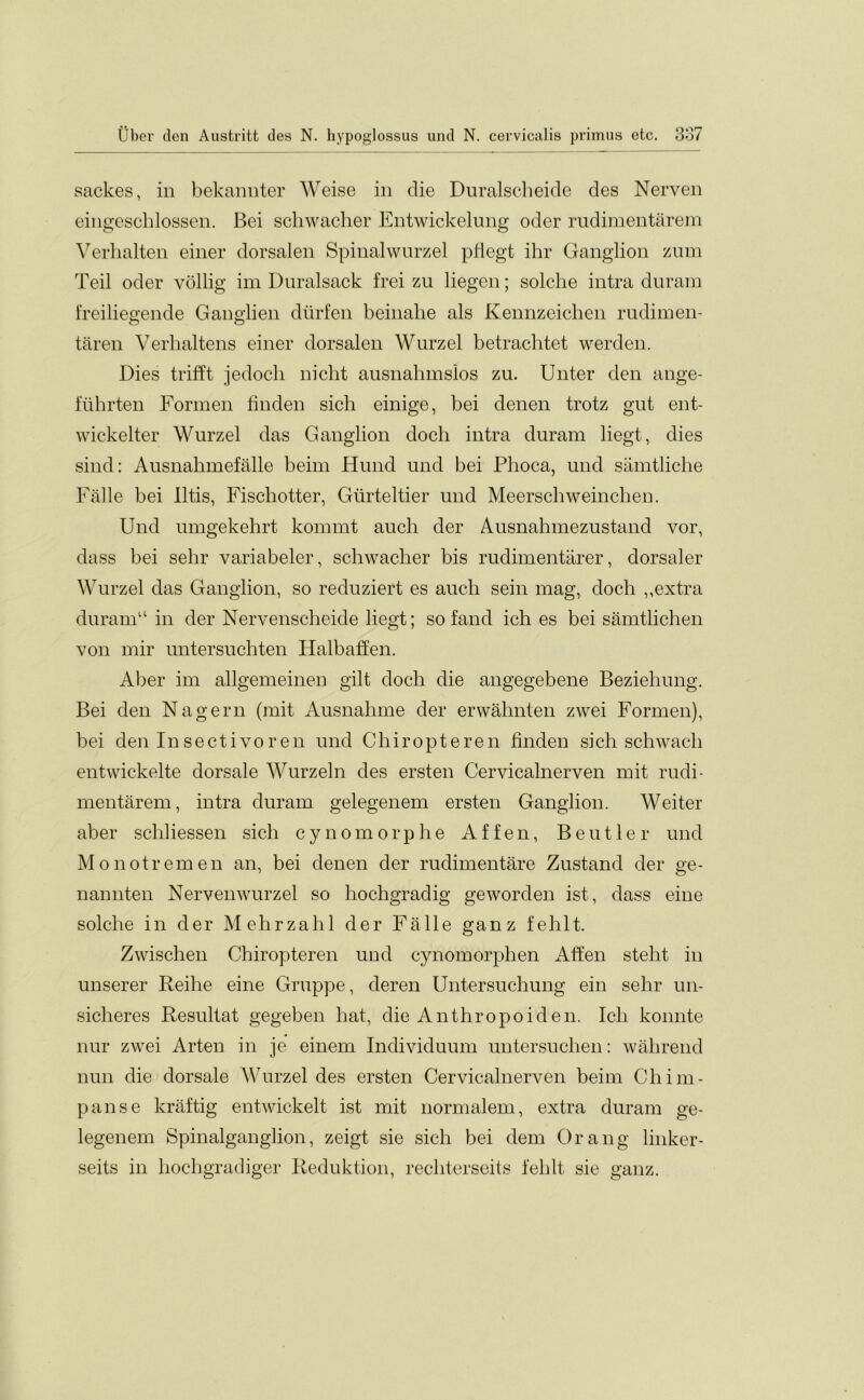 sackes, in bekannter Weise in die Duralscheide des Nerven eingeschlossen. Bei schwacher Entwickelung oder rudimentarem Verhalten einer dorsalen Spinalwurzel pfiegt ihr Ganglion zum Teil oder yollig im Duralsack frei zu liegen; solche intra duram freiliegende Ganglien dlirfen beinalie als Kennzeichen rudimen- taren Verlialtens einer dorsalen Wurzel betrachtet werden. Dies trifft jedocli nicht ausnahmslos zu. Unter den ange- flihrten Formen finden sich einige, bei denen trotz gut ent- wickelter Wurzel das Ganglion doch intra duram liegt, dies sind: Ausnahmefalle beim Hund und bei Phoca, und samtliche Falle bei litis, Fischotter, Giirteltier und Meerschweinchen. Und umgekehrt kommt auch der Ausnahmezustand vor, dass bei selir variabeler, schwacher bis rudimentarer, dorsaler Wurzel das Ganglion, so reduziert es auch sein mag, doch ,,extra duram“ in der Nervenscheide liegt; so fand ich es bei samtlichen von mir untersuchten Halbaffen. Aber im allgemeinen gilt doch die angegebene Beziehung. Bei den Nagern (mit Ausnalnne der erwahnten zwei Formen), bei den Insectivoren und Chiropteren finden sich schwacli entwickelte dorsale Wurzeln des ersten Cervicalnerven mit rudi- mentarem, intra duram gelegenem ersten Ganglion. Weiter aber schliessen sich cynomorphe Affen, Ben tier und Mo not remen an, bei denen der rudimentare Zustand der ge- nannten Nervenwurzel so hochgradig geworden ist, dass eine solche in der Mehrzahl der Fa lie ganz fehlt. Zwischen Chiropteren und cynomorphen Affen steht in unserer Reihe eine Gruppe, deren IJntersuchung ein sehr un- sicheres Resultat gegeben hat, die Anthropoiden. Ich konnte nur zwei Arten in je einem Individuum untersuchen: wahrend nun die dorsale Wurzel des ersten Cervicalnerven beim Chim- panse kraftig entwickelt ist mit normalem, extra duram ge- legenem Spinalganglion, zeigt sie sich bei dem Orang linker- seits in hochgradiger Reduktion, rechterseits fehlt sie ganz.