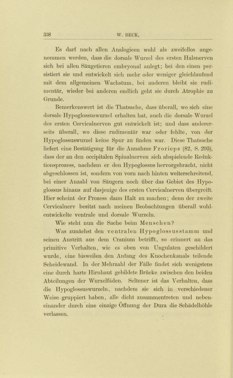 Es darf nach alien Analogieen wolil als zweifellos ange- nommen werden, class die dorsale Wurzel des ersten Halsnerven sicli bei alien Saugetieren embryonal anlegt; bei den einen per- sistiert sie und entwickelt sicli mehr oder weniger gleichlaufend mit dem allgemeinen Wachstum, bei anderen bleibt sie rudi- mentar, wieder bei anderen encllicli geht sie durch Atrophie zu Grande. Bemerkenswert ist die Thatsache, class liberally wo sicli eine dorsale Hypoglossuswurzel erhalten hat, auch die dorsale Wurzel des ersten Cervicalnerven gut entwickelt ist; und class anderer- seits uberall, wo cliese rudimentar war oder fehlte, von der Hypoglossuswurzel keine Spur zu finden war. Diese Thatsache liefert eine Bestatigung fur die Annahme Frorieps (82, S. 293), class der an den occipitalen Spinalnerven sicli abspielende Reduk- tionsprozess, nacliclem er den Hypoglossus hervorgebracht, niclit abgeschlossen ist, sondern von vorn nach hinten weiterschreitend, bei einer Anzahl von Saugern noch liber das Gebiet des Hypo- glossus hinaus auf dasjenige des ersten Cervicalnerven libergreift. Hier scheint der Prozess dann Halt zu machen; denn der zweite Cervicalnerv besitzt nach meinen Beobachtungen uberall wohl- entwickelte ventrale und dorsale Wurzeln. Wie steht nun die Sadie beim Men sell en? Was zunaclist den ventralen Hypo gloss us stamm und seinen Austritt aus clem Cranium betrifft, so erinnert an das primitive Verhalten, wie es oben von Ungulaten geschildert wurde, eine bisweilen den Anfang des Knochenkanals teilende Scheidewand. In der Mehrzahl der Falle fmclet sicli wenigstens eine durch harte Hirnhaut gebilclete Briicke zwischen den beiden Abteilnngen der Wurzelfiiden. Seltener ist das Verhalten, class die Hypoglossus wurzeln, nacliclem sie sicli in verscliiedener Weise gruppiert liaben, alle dicht zusammentreten und neben- • • einander durch eine einzige Offnung der Dura die Schadelhohle verlassen.