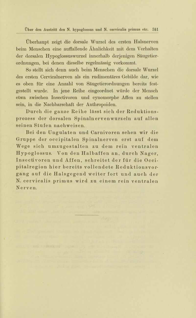 Uberhaupt zeigt die dorsale Wurzel des ersten Halsnerven beim Menschen eine auffallende Ahnlichkeit mit dem Verhalten der dorsalen Hypoglossuswurzel innerhalb derjenigen Saugetier- ordnungen, bei denen dieselbe regelmassig vorkommt. So stellt sich denn auch beim Menschen die dorsale Wurzel des ersten Cervicalnerven als ein rudimentares Gebilde dar, wie es oben fur eine Anzahl von Saugetierordn ungen bereits fest- gestellt wurde. In jene Reihe eingeordnet wiirde der Menscli etwa zwischen Insectivoren und cynomorphe Affen zu stellen sein, in die Naclibarscliaft der Anthropoiden. Durch die gauze Reihe lasst sich der Reduktions- prozess der dorsalen Spinalnervenwurzeln auf alien seinen Stufen nachweisen. Bei den Ungulaten und Carnivoren selien wir die Gruppe der occipitalen Spinalnerven erst auf deni Wege sich umzugestalten zu dem rein ventralen Hypoglossus. Von den Halbaffen an, durch Nager, Insectivoren und Affen, schreitet der fur die Occi- pitalregion hier bereits vollendete Reduktionsvor- gang auf die Halsgegend weiter fort und auch der N. cervicalis primus wird zu einem rein ventralen Nerven.