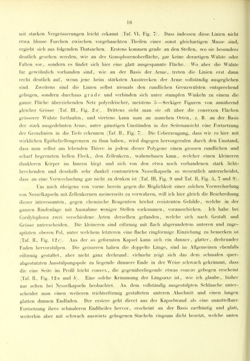 mit starken Vergrößerungen leicht erkannt (Taf. VI, Fig. 7). Dass indessen diese Linien nicht etwa blosse Furchen zwischen vorgebauchten Theilen einer sonst gleichartigen Masse sind, ergiebt sich aus folgenden Thatsachen. Erstens kommen grade an den Stellen, wo sie besonders deutlich gesehen werden, wie an der Gpnophorenoberfläche, gar keine derartigen Wülste oder Falten vor, sondern es findet sich hier eine glatt ausgespannte Flache. Wo aber die Wülste für gewöhnlich vorhanden sind, wie an der Basis der Arme, treten die Linien erst dann recht deutlich auf, wenn jene beim stärksten Ausstrecken der Arme vollständig ausgeglichen sind. Zweitens sind die Linien selbst niemals den rundlichen Grenz Wülsten entsprechend gebogen, sondern durchaus grade und verbinden sich unter stumpfen Winkeln zu einem die ganze Fläche überziehenden Netz polyedrischer, meistens 5 — Seckiger Figuren von annähernd gleicher Grösse (Taf. III, Fig. 2 a). Drittens sieht man sie oft über die convexen Flächen grösserer Wülste fortlaufen, und viertens kann man an manchen Orten, z. B. an der Basis der stark ausgedehnten Arme, unter günstigen Umständen in der Seitenansicht eine Fortsetzung der Grenzlinien in die Tiefe erkennen (Taf. II, Fig. 7). Die Ueberzeugung, dass wir es hier mit wirklichen Epithelzellengrenzen zu thun haben, wird dagegen hervorgerufen durch den Umstand, dass mau selbst am lebenden Thiere in jedem dieser Polygone einen grossen rundlichen und scharf begrenzten hellen Fleck, den Zellenkern, wahrnehmen kann, welcher einen kleineren dunkleren Körper im Innern birgt und sich von den etwa noch vorhandenen stark licht- brechenden und desshalb sehr dunkel contourirten Nesselkapseln so wesentlich unterscheidet, dass an eine Verwechselung gar nicht zu denken ist (Taf. III, Fig. 9 und Taf. II, Fig. 5, 7 und 9). Um mich übrigens von vorne herein gegen die Möglichkeit einer solchen Verwechselung von Nesselkapseln mit Zellenkernen meinerseits zu verwahren, will ich hier gleich die Beschreibung dieser interessanten, gegen chemische Beagentien höchst resistenten Gebilde, welche in der ganzen Bindenlage mit Ausnahme weniger Stellen vorkommen, vorausschicken. Ich habe bei Cordylophora zwei verschiedene Arten derselben gefunden, welche sich nach Gestalt und Grösse unterscheiden. Die kleineren sind eiförmig mit flach abgerundetem unteren und zuge- spitzten oberen Pol, unter welchem letzteren eine flache ringförmige Einziehung zu bemerken ist (Taf. II, Fig. \%c). Aus der so geformten Kapsel kann sich ein dünner, glatter, drehrunder Faden hervorstülpen. Die grösseren haben die doppelte Länge, sind im Allgemeinen ebenfalls eiförmig gestaltet, aber nicht ganz drehrund; vielmehr zeigt sich das dem schmalen quer- abgestutzten Ausstülpungspole zu liegende dünnere Ende in der Weise schwach gekrümmt, dass die eine Seite im Profil leicht convex, die gegenüberliegende etwas concav gebogen erscheint (Taf. II, Fig. \%a und b). Eine solche Krümmung der Längsaxe ist, wie ich glaube, bisher nur selten bei Nesselkapseln beobachtet. An dem vollständig ausgestülpten Schlauche unter- scheidet man einen weiteren trichterförmig gestalteten unteren Abschnitt und einen langen glatten dünnen Endfaden. Der erstere geht direct aus der Kapselwand als eine unmittelbare Fortsetzung ihres schmaleren Endtheiles hervor, erscheint an der Basis zarthäutig und glatt, weiterhin aber mit schwach auswärts gebogenen Stacheln ringsum dicht besetzt, welche unten