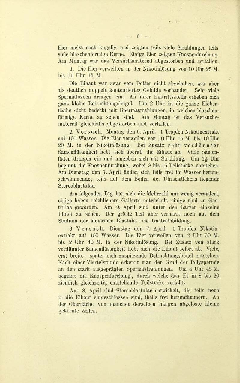 Eier meist noch kugelig und zeigten teils viele Strahlungen teils viele bläschenförmige Kerne. Einige Eier zeigten Knospenfurchung. Am Montag war das Versuchsmaterial abgestorben und zerfallen. d. Die Eier verweilten in der Nikotinlösung von 10 Uhr 25 M. bis 11 Uhr 15 M. Die Eiliaut war zwar vom Dotter nicht abgehoben, war aber als deutlich doppelt kontouriertes Gebilde vorhanden. Sehr viele Spermatozoen dringen ein. An ihrer Eintrittsstelle erheben sich ganz kleine Befruchtungshügel. Um 2 Uhr ist die ganze Eiober- fläche dicht bedeckt mit Spermastrahlungen, in welchen bläschen- förmige Kerne zu sehen sind. Am Montag ist das Versuchs- material gleichfalls abgestorben und zerfallen. 2. Versuch. Montag den 6. April. 1 Tropfen Nikotinextrakt auf 100 Wasser. Die Eier verweilen von 10 Uhr 15 M. bis 10 Uhr 20 M. in der Nikotinlösung. Bei Zusatz sehr verdünnter Samenflüssigkeit hebt sich überall die Eihaut ab. Viele Samen- fäden dringen ein und umgeben sich mit Strahlung. Um 1| Uhr beginnt die Knospenfurchung, wobei 8 bis 16 Teilstücke entstehen. Am Dienstag den 7. April finden sich teils frei im Wasser herum- schwimmende, teils auf dem Boden des Uhrschälchens liegende Stereoblastulae. Am folgenden Tag hat sich die Mehrzahl nur wenig verändert, einige haben reichlichere Gallerte entwickelt, einige sind zu Gas- trulae geworden. Am 9. April sind unter den Larven einzelne Plutei zu sehen. Der größte Teil aber verharrt noch auf dem Stadium der abnormen Blastula- und Gastrulabildung. 3. Versuch. Dienstag den 7. April. 1 Tropfen Nikotin- extrakt auf 100 Wasser. Die Eier verweilen von 2 Uhr 30 M. bis 2 Uhr 40 M. in der Nikotinlösung. Bei Zusatz von stark verdünnter Samenflüssigkeit hebt sich die Eihaut sofort ab. Viele, erst breite, später sich zuspitzende Befruchtungshügel entstehen. Nach einer Viertelstunde erkennt man den Grad der Polyspermie an den stark ausgeprägten Spermastrahlungen. Um 4 Uhr 45 M. beginnt die Knospenfurchung, durch welche das Ei in 8 bis 20 ziemlich gleichzeitig entstehende Teilstiicke zerfällt. Am 8. April sind Stereoblastulae entwickelt, die teils noch in die Eihaut eingeschlossen sind, theils frei herumflimmern. An der Oberfläche von manchen derselben hängen abgelöste kleine gekörnte Zellen.