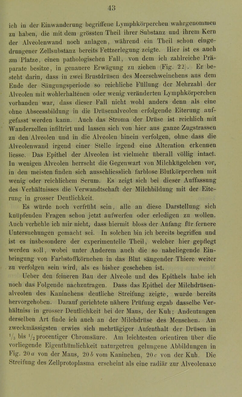 zu haben, die mit dem grössten Theil ihrer Substanz und ihrem Kern der Alveolenwand noch anlagen, während ein Theil schon eiuge- drungener Zellsubstanz bereits Fettzerlegung zeigte. Hier ist es auch am Platze, einen pathologischen Fall, von dem ich zahlreiche Prä- parate besitze, in genauere Erwägung zu ziehen (Fig. 22). Er be- steht darin, dass in zwei Brustdrüsen des Meerschweinchens aus dem Ende der Säuglingsperiode so reichliche Füllung der Mehrzahl der Alveolen mit wohlerhaltenen oder wenig veränderten Lymphkörperchen vorhanden war, dass dieser Fall nicht wohl anders denn als eine ohne Abscessbildung in die Drüsenalveolen erfolgende Eiterung auf- gefasst werden kann. Auch das Stroma der Drüse ist reichlich mit Wanderzellen infiltrirt und lassen sich von hier aus ganze Zugstrassen zu den Alveolen und in die Alveolen hinein verfolgen, ohne dass die Alveolenwand irgend einer Stelle irgend eine Alteration erkennen Hesse. Das Epithel der Alveolen ist vielmehr überall völlig intact. In wenigen Alveolen herrscht die Gegenwart von Milchkügelchen vor, in den meisten finden sich ausschliesslich farblose Blutkörperchen mit wenig oder reichlichem Serum. Es zeigt sich bei dieser Auffassung des Verhältnisses die Verwandtschaft der Milchbildung mit der Eite- ruug in grosser Deutlichkeit. Es würde noch verfrüht sein, alle an diese Darstellung sich knüpfenden Fragen schon jetzt aufwerfeu oder erledigen zu wollen. Auch verhehle ich mir nicht, dass hiermit bloss der Anfang für fernere Untersuchungen gemacht sei. In solchen bin ich bereits begriffen und ist es insbesondere der experimentelle Theil, welcher hier gepflegt werden soll, wobei unter Anderem auch die so naheliegende Ein- bringung von Farbstoffkörnchen in das Blut säugender Thiere weiter zu verfolgen sein wird, als es bisher geschehen ist. Ueber den feineren Bau der Alveole und des Epithels habe ich noch das Folgende nachzutragen. Dass das Epithel der Milchdrüsen- alveolen des Kaninchens deutliche Streifung zeigte, wurde bereits hervorgehoben. Darauf gerichtete nähere Prüfung ergab dasselbe Ver- hältniss in grosser Deutlichkeit bei der Maus, der Kuh; Andeutungen derselben Art finde ich auch an der Milchdrüse des Menschen. Am zweckmässigsten erwies sich mehrtägiger Aufenthalt der Drüsen in 1 /a bis '/2 procentiger Chromsäure. Am leichtesten orientiren über die vorliegende Eigenthümlichkeit naturgetreu gelungene Abbildungen in big. 20a von der Maus, 20b vom Kaninchen, 20c von der Kuh. Die Streifung des Zellprotoplasma erscheint als eine radiär zur Alveolenaxe