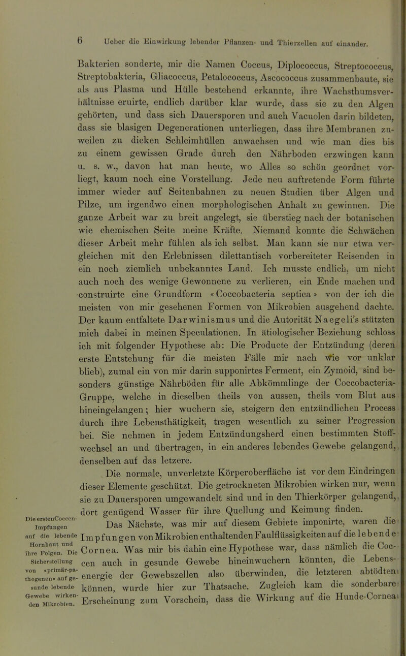 Bakterien sonderte, mir die Namen Coccus, Diplococcus, Streptococcus, Streptobakteria, Gliacoccus, Petalococcus, Ascococcus zusammenbaute, sie als aus Plasma und Hülle bestehend erkannte, ihre Wachsthumsver- hältnisse eruirte, endlich darüber klar wurde, dass sie zu den Algen gehörten, und dass sich Dauersporen und auch Vacuolen darin bildeten, dass sie blasigen Degenerationen unterliegen, dass ihre Membranen zu- weilen zu dicken Schleimhüllen anwachsen und wie man dies bis zu einem gewissen Grade durch den Nährboden erzwingen kann u. s. w., davon hat man heute, wo Alles so schön geordnet vor- liegt, kaum noch eine Vorstellung. Jede neu auftretende Form führte immer wieder auf Seitenbahnen zu neuen Studien über Algen und Pilze, um irgendwo einen morphologischen Anhalt zu gewinnen. Die ganze Arbeit war zu breit angelegt, sie überstieg nach der botanischen wie chemischen Seite meine Kräfte. Niemand konnte die Schwächen dieser Arbeit mehr fühlen als ich selbst. Man kann sie nur etwa ver- gleichen mit den Erlebnissen dilettantisch vorbereiteter Reisenden in ein noch ziemlich unbekanntes Land. Ich musste endlich, um nicht auch noch des wenige Gewonnene zu verlieren, ein Ende machen und construirte eine Grundform «Coccobacteria septica » von der ich die meisten von mir gesehenen Formen von Mikrobien ausgehend dachte. Der kaum entfaltete Darwinismus und die Autorität Naegeli's stützten mich dabei in meinen Speculationen. In ätiologischer Beziehung schloss ich mit folgender Hypothese ab: Die Producte der Entzündung (deren erste Entstehung für die meisten Fälle mir nach Wie vor unklar blieb), zumal ein von mir darin supponirtes Ferment, ein Zymoid, sind be- sonders günstige Nährböden für alle Abkömmlinge der Coccobacteria- Gruppe, welche in dieselben theils von aussen, theils vom Blut aus hineingelangen-, hier wuchern sie, steigern den entzündhcheu Process durch ihre Lebensthätigkeit, tragen wesentlich zu seiner Progression bei. Sie nehmen in jedem Entzündungsherd einen bestimmten Stoff- Avechsel an und übertragen, in ein anderes lebendes Gewebe gelangend, denselben auf das letzere. Die normale, unverletzte Körperoberfläche ist vor dem Eindringen dieser Elemente geschützt. Die getrockneten Mikrobien wirken nur, wenn sie zu Dauersporen umgewandelt sind und in den Thierkörper gelangend,, dort genügend Wasser für ihre Quellung und Keimung finden, rptoger Das Nächste, was mir auf diesem Gebiete imponirte, waren die auf die lebende J m p f u n g 6 n von Mikrobicu enthaltenden Faulflüssigkeiten auf die 1 e b e n d e ihTpoTeL. Die Cornea. Was mir bis dahin eine Hypothese war, dass nämlich die Coc- Sichersteiiung ^en auch in gesunde Gewebe hineinwuchern könnten, die Lebens- Zenl'irfr energie der Gewebszellen also überwinden, die letzteren abtödten, snnde lebende können wurdc Mcr zur Thatsache. Zugleich kam die sonderbare teTMi Jbier' Erscheinung z,;m Vorschein, dass die Wirkung auf die Hunde-Cornea.