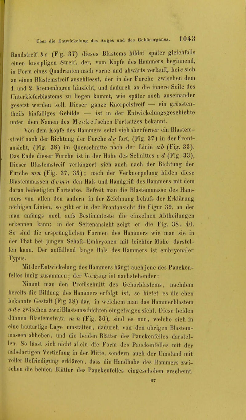 I Über die Elitwickelung des Auges und des Gchörorganes. lU4d Randstreif bc (Fig. 37) dieses Blastems bildet später gleichfalls einen knorpligen Streif, der, vom Kopfe des Hammers beginnend, in Form eines Quadranten nach vorne und abwärts verläuft, bei c sich an einen Blastemstreif anschliesst, der in der Furche zwischen dem 1. und 2. Kiemenbogen hinzieht, und dadurch arr die innere Seite des Unterkieferblastems zu liegen kommt, wie später noch auseinander gesetzt werden soll. Dieser ganze Knorpelstreif — ein grössten- teils hinfälliges Gebilde — ist in der Entwickelungsgeschichte unter dem Namen des Meckel'schen Fortsatzes bekannt. Von dem Kopfe des Hammers setzt sich aber ferner ein Blastem- streif nach der Richtung der Furche de fort, (Fig. 37) in der Front- ansicht, (Fig. 38) im Querschnitte nach der Linie ab (Fig. 33). Das Ende dieser Furche ist in der Höhe des Schnittes c d (Fig. 33), Dieser Blastemstreif verlängert sich auch nach der Richtung der Furche mn (Fig. 37, 35) ; nach der Verknorpelung bilden diese Blastemmassen demn den Hals und Handgrift' des Hammers mit dem daran befestigten Fortsatze. Befreit man die Blastemmasse des Ham- mers von allen den andern in der Zeichnung behufs der Erklärung nöthigen Linien, so gibt er in der Frontansicht die Figur 39, an der man anfangs noch aufs Bestimmteste die einzelnen Abtheilungen erkennen kann; in der Seitenansicht zeigt er die Fig. 38, 40. So sind die ursprünglichen Formen des Hammers wie man sie in der That bei jungen Schafs-Ernbryonen mit leichter Mühe darstel- len kann. Der auffallend lange Hals des Hammers ist embryonaler Typus. Mit der Entwicklung des Hammers hängt auch jene des Paucken- felles innig zusammen; der Vorgang ist nachstehender: Nimmt man den Profilschnitt des Gehörblastems, nachdem bereits die Bildung des Hammers erfolgt ist, so bietet es die eben bekannte Gestalt (Fig 38) dar, in welchem man das Hammerblastem ade zwischen zweiBlastemschichten eingetragen sieht. Diese beiden dünnen Blastemstrata mn (Fig. 36), sind es nun, welche sich in eine hautartige Lage umstalten, dadurch von den übrigen Blastem- massen abheben, und die beiden Blätter des Pauckenfelles darstel- len. So lässt sich nicht allein die Form des Pauckenfelles mit der nabelartigen Vertiefung in der Mitte, sondern auch der Umstand mit voller Befriedigung erklären, dass die Handhabe des Hammers zwi- schen die beiden Blätter des Pauckenfelles eingeschoben erscheint. 67