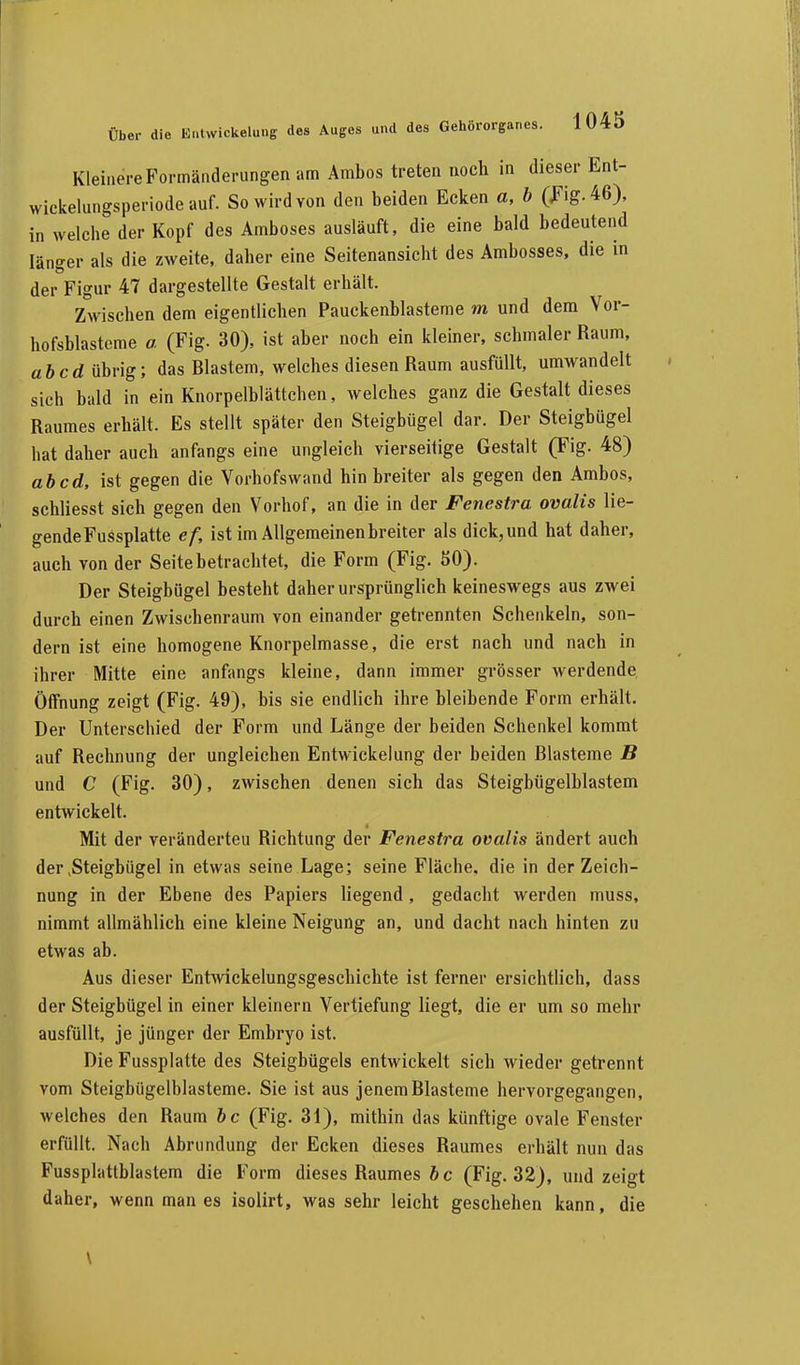 Kleinere Formänderungen am Ambos treten noch in dieser Ent- wickelungsperiode auf. So wird von den beiden Ecken a, b (Fig. 46), in welche der Kopf des Amboses ausläuft, die eine bald bedeutend länger als die zweite, daher eine Seitenansicht des Ambosses, die in der Figur 47 dargestellte Gestalt erhält. Zwischen dem eigentlichen Pauckenblasteme m und dem Vor- hofsblasteme a (Fig. 30), ist aber noch ein kleiner, schmaler Raum, ab cd übrig; das Blastem, welches diesen Raum ausfüllt, umwandelt sich bald in ein Knorpelblättchen, welches ganz die Gestalt dieses Raumes erhält. Es stellt später den Steigbügel dar. Der Steigbügel hat daher auch anfangs eine ungleich vierseitige Gestalt (Fig. 48) ab cd, ist gegen die Vorhofswand hin breiter als gegen den Ambos, schliesst sich gegen den Vorhof, an die in der Fenestra ovalis lie- gendeFussplatte ef, ist im Allgemeinen breiter als dick,und hat daher, auch von der Seite betrachtet, die Form (Fig. 50). Der Steigbügel besteht daher ursprünglich keineswegs aus zwei durch einen Zwischenraum von einander getrennten Schenkeln, son- dern ist eine homogene Knorpelmasse, die erst nach und nach in ihrer Mitte eine anfangs kleine, dann immer grösser werdende Öffnung zeigt (Fig. 49), bis sie endlich ihre bleibende Form erhält. Der Unterschied der Form und Länge der beiden Schenkel kommt auf Rechnung der ungleichen Entwickelung der beiden Blasteme B und C (Fig. 30), zwischen denen sich das Steigbügelblastem entwickelt. Mit der veränderteu Richtung der Fenestra ovalis ändert auch der .Steigbügel in etwas seine Lage; seine Fläche, die in der Zeich- nung in der Ebene des Papiers liegend , gedacht werden muss, nimmt allmählich eine kleine Neigung an, und dacht nach hinten zu etwas ab. Aus dieser Entwickelungsgeschichte ist ferner ersichtlich, dass der Steigbügel in einer kleinern Vertiefung liegt, die er um so mehr ausfüllt, je jünger der Embryo ist. Die Fussplatte des Steigbügels entwickelt sich wieder getrennt vom Steigbügelhlasteme. Sie ist aus jenem Blasteme hervorgegangen, welches den Raum bc (Fig. 31), mithin das künftige ovale Fenster erfüllt. Nach Abrundung der Ecken dieses Raumes erhält nun das Fussplattblastem die Form dieses Raumes bc (Fig. 32), und zeigt daher, wenn man es isolirt, was sehr leicht geschehen kann, die \