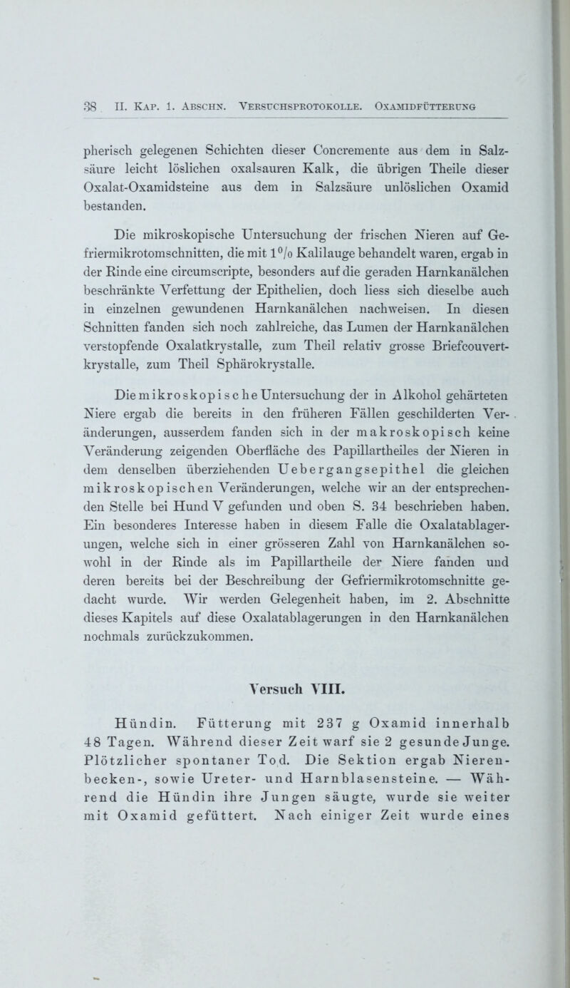 pherisch gelegenen Schichten dieser Concremente aus dem in Salz- säure leicht löslichen oxalsauren Kalk, die übrigen Theile dieser Oxalat-Oxamidsteine aus dem in Salzsäure unlöslichen Oxamid bestanden. Die mikroskopische Untersuchung der frischen Nieren auf Ge- friermikrotomschnitten, die mit l°/o Kalilauge behandelt waren, ergab in der Rinde eine circumscripte, besonders auf die geraden Harnkanälchen beschränkte Verfettung der Epithelien, doch liess sich dieselbe auch in einzelnen gewundenen Harnkanälchen nach weisen. In diesen Schnitten fanden sich noch zahlreiche, das Lumen der Harnkanälchen verstopfende Oxalatkrystalle, zum Theil relativ grosse Briefcouvert- krystalle, zum Theil Sphärokrystalle. Die mikroskopische Untersuchung der in Alkohol gehärteten Niere ergab die bereits in den früheren Fällen geschilderten Ver- änderungen, ausserdem fanden sich in der makroskopisch keine Veränderung zeigenden Oberfläche des Papillartheiles der Nieren in dem denselben überziehenden Uebergangsepithel die gleichen mikroskopischen Veränderungen, welche wir an der entsprechen- den Stelle bei Hund V gefunden und oben S. 34 beschrieben haben. Ein besonderes Interesse haben in diesem Falle die Oxalatablager- ungen, welche sich in einer grösseren Zahl von Harnkanälchen so- wohl in der Rinde als im Papillartheile der Niere fanden und deren bereits bei der Beschreibung der Gefriermikrotomschnitte ge- dacht wurde. Wir werden Gelegenheit haben, im 2. Abschnitte dieses Kapitels auf diese Oxalatablagerungen in den Harnkanälchen nochmals zurückzukommen. Versuch VIII. Hündin. Fütterung mit 237 g Oxamid innerhalb 48 Tagen. Während dieser Zeit warf sie 2 gesunde Junge. Plötzlicher spontaner Tod. Die Sektion ergab Nieren- becken-, sowie Ureter- und Harnblasensteine. — Wäh- rend die Hündin ihre Jungen säugte, wurde sie weiter mit Oxamid gefüttert. Nach einiger Zeit wurde eines