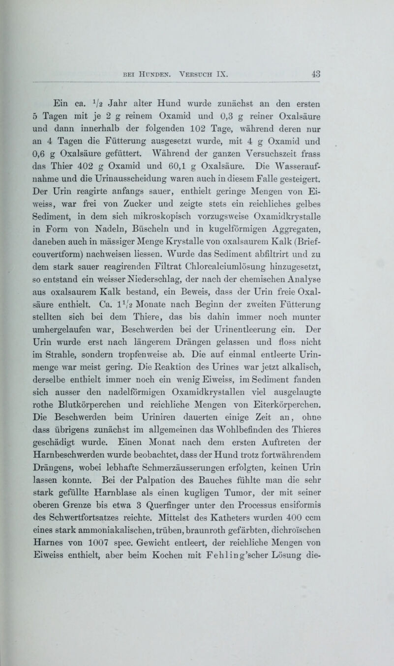 Ein ca. 1/2 Jahr alter Hund wurde zunächst an den ersten 5 Tagen mit je 2 g reinem Oxamid und 0,3 g reiner Oxalsäure und dann innerhalb der folgenden 102 Tage, während deren nur an 4 Tagen die Fütterung ausgesetzt wurde, mit 4 g Oxamid und 0,6 g Oxalsäure gefüttert. Während der ganzen Versuchszeit frass das Thier 402 g Oxamid und 60,1 g Oxalsäure. Die Wasserauf- nahme und die Urinausscheidung waren auch in diesem Falle gesteigert. Der Urin reagirte anfangs sauer, enthielt geringe Mengen von Ei- weiss, war frei von Zucker und zeigte stets ein reichliches gelbes Sediment, in dem sich mikroskopisch vorzugsweise Oxamidkrystalle in Form von Nadeln, Büscheln und in kugelförmigen Aggregaten, daneben auch in mässiger Menge Krystalle von oxalsaurem Kalk (Brief- couvertform) nach weisen Hessen. Wurde das Sediment abfiltrirt und zu dem stark sauer reagirenden Filtrat Chlorcalciumlösung hinzugesetzt, so entstand ein weisser Niederschlag, der nach der chemischen Analyse aus oxalsaurem Kalk bestand, ein Beweis, dass der Urin freie Oxal- säure enthielt. Ca. D/2 Monate nach Beginn der zweiten Fütterung stellten sich bei dem Thiere, das bis dahin immer noch munter umhergelaufen war, Beschwerden bei der Urinentleerung ein. Der Urin wurde erst nach längerem Drängen gelassen und floss nicht im Strahle, sondern tropfenweise ab. Die auf einmal entleerte Urin- menge war meist gering. Die Reaktion des Urines war jetzt alkalisch, derselbe enthielt immer noch ein wenig Eiweiss, im Sediment fanden sich ausser den nadelförmigen Oxamidkrystallen viel ausgelaugte rothe Blutkörperchen und reichliche Mengen von Eiterkörperchen. Die Beschwerden beim Uriniren dauerten einige Zeit an, ohne dass übrigens zunächst im allgemeinen das Wohlbefinden des Thieres geschädigt wurde. Einen Monat nach dem ersten Auftreten der Harnbeschwerden wurde beobachtet, dass der Hund trotz fortwährendem Drängens, wobei lebhafte Schmerzäusserungen erfolgten, keinen Urin lassen konnte. Bei der Palpation des Bauches fühlte man die sehr stark gefüllte Harnblase als einen kugligen Tumor, der mit seiner oberen Grenze bis etwa 3 Querfinger unter den Processus ensiformis des Schwertfortsatzes reichte. Mittelst des Katheters wurden 400 ccm eines stark ammoniakalischen, trüben, braunroth gefärbten, dichroüschen Harnes von 1007 spec. Gewicht entleert, der reichliche Mengen von Eiweiss enthielt, aber beim Kochen mit Fehling’scher Lösung die-