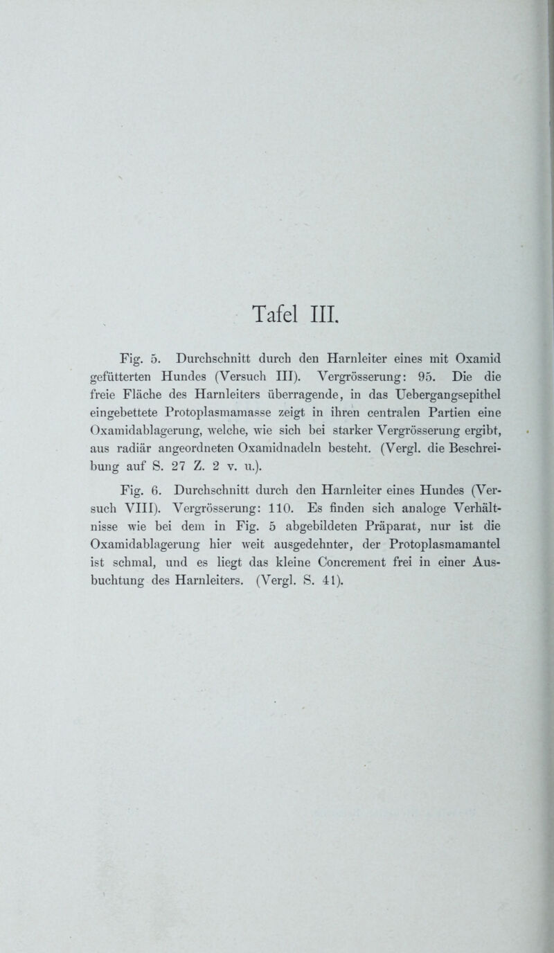 Fig. 5. Durchschnitt durch den Harnleiter eines mit Oxamid gefütterten Hundes (Versuch III). Vergrösserung: 95. Die die freie Fläche des Harnleiters überragende, in das Uebergangsepithel eingebettete Protoplasmamasse zeigt in ihren centralen Partien eine Oxamidablagerung, welche, wie sich bei starker Vergrösserung ergibt, aus radiär angeordneten Oxamidnadeln besteht. (Vergl. die Beschrei- bung auf S. 27 Z. 2 v. u.). Fig. 6. Durchschnitt durch den Harnleiter eines Hundes (Ver- such VIII). Vergrösserung: 110. Es finden sich analoge Verhält- nisse wie bei dem in Fig. 5 abgebildeten Präparat, nur ist die Oxamidablagerung hier weit ausgedehnter, der Protoplasmamantel ist schmal, und es liegt das kleine Concrement frei in einer Aus- buchtung des Harnleiters. (Vergl. S. 41).