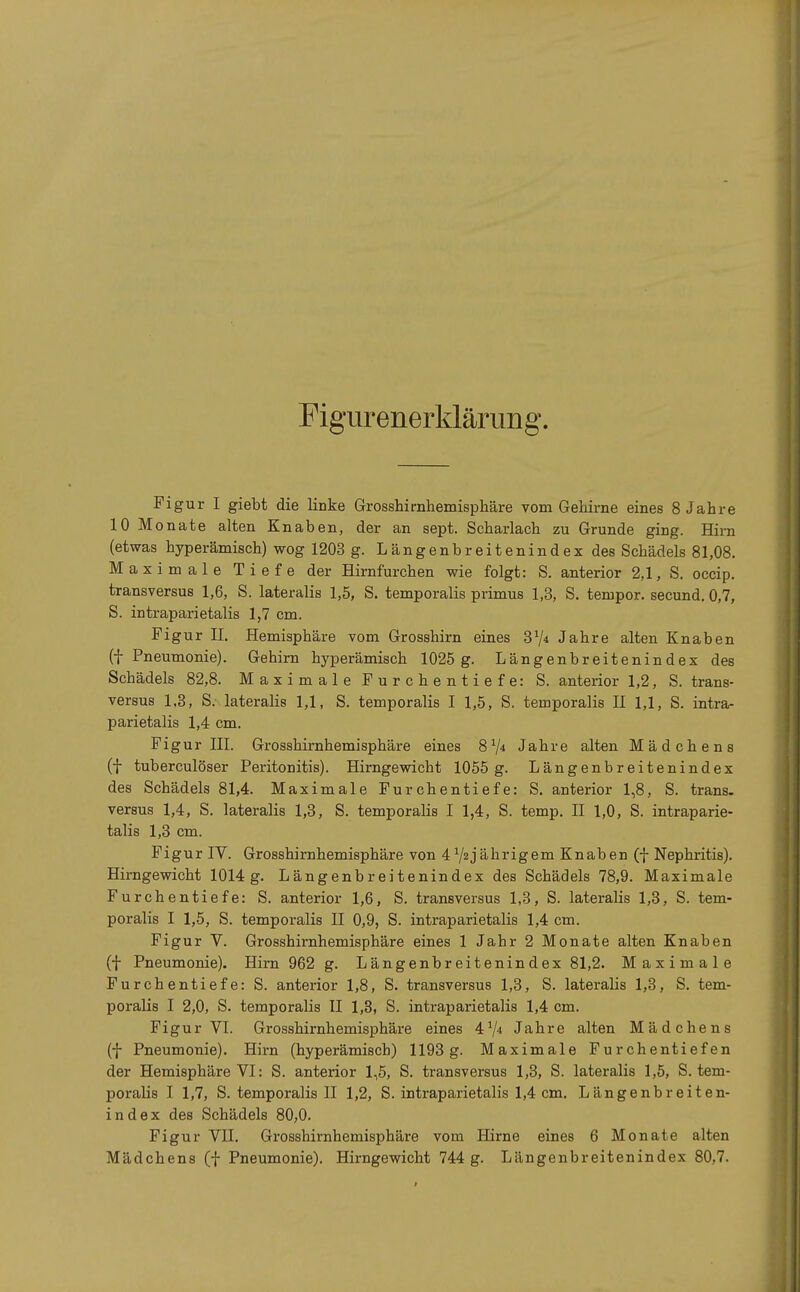 Figurenerklärung. Figur I giebt die linke Grosshirnhemisphäre vom Gehirne eines 8 Jahre 10 Monate alten Knaben, der an sept. Scharlach zu Grunde ging. Hirn (etwas hyperämisch) wog 1203 g. Längenbreitenindexdes Schädels 81,08. Maximale Tiefe der Hirnfurchen wie folgt: S. anterior 2,1, S. occip. transversus 1,6, S. lateralis 1,5, S. temporalis primus 1,3, S. tempor. secund. 0,7, S. intraparietalis 1,7 cm. Figur II. Hemisphäre vom Grosshirn eines 31/* Jahre alten Knaben (f Pneumonie). Gehirn hyperämisch 1025 g. Längenbreitenindex des Schädels 82,8. Maximale Furchentiefe: S. anterior 1,2, S. trans- versus 1.3, S. lateralis 1,1, S. temporalis I 1,5, S. temporalis II 1,1, S. intra- parietalis 1,4 cm. Figur III. Grosshirnhemisphäre eines 81/* Jahre alten Mädchens (f tuberculöser Peritonitis). Hirngewicht 1055 g. Längenbreitenindex des Schädels 81,4. Maximale Furchentiefe: S. anterior 1,8, S. trans- versus 1,4, S. lateralis 1,3, S. temporalis I 1,4, S. temp. II 1,0, S. intraparie- talis 1,3 cm. Figur IV. Grosshirnhemisphäre von 4jährigem Knaben (f Nephritis). Hirngewicht 1014g. Längenbreitenindex des Schädels 78,9. Maximale Furchentiefe: S. anterior 1,6, S. transversus 1,3, S. lateralis 1,3, S. tem- poralis I 1,5, S. temporalis II 0,9, S. intraparietalis 1,4 cm. Figur V. Grosshirnhemisphäre eines 1 Jahr 2 Monate alten Knaben (f Pneumonie). Hirn 962 g. Längenbreitenindex 81,2. Maximale Furchentiefe: S. anterior 1,8, S. transversus 1,3, S. lateralis 1,3, S. tem- poralis I 2,0, S. temporalis II 1,3, S. intraparietalis 1,4 cm. Figur VI. Grosshirnhemisphäre eines 41/* Jahre alten Mädchens (f Pneumonie). Hirn (hyperämisch) 1193g. Maximale Furchentiefen der Hemisphäre VI: S. anterior 1,5, S. transversus 1,3, S. lateralis 1,5, S. tem- poralis I 1,7, S. temporalis II 1,2, S. intraparietalis 1,4 cm. Längenbreiten- index des Schädels 80,0. Figur VII. Grosshirnhemisphäre vom Hirne eines 6 Monate alten Mädchens (f Pneumonie). Hirngewicht 744 g. Längenbreitenindex 80,7.