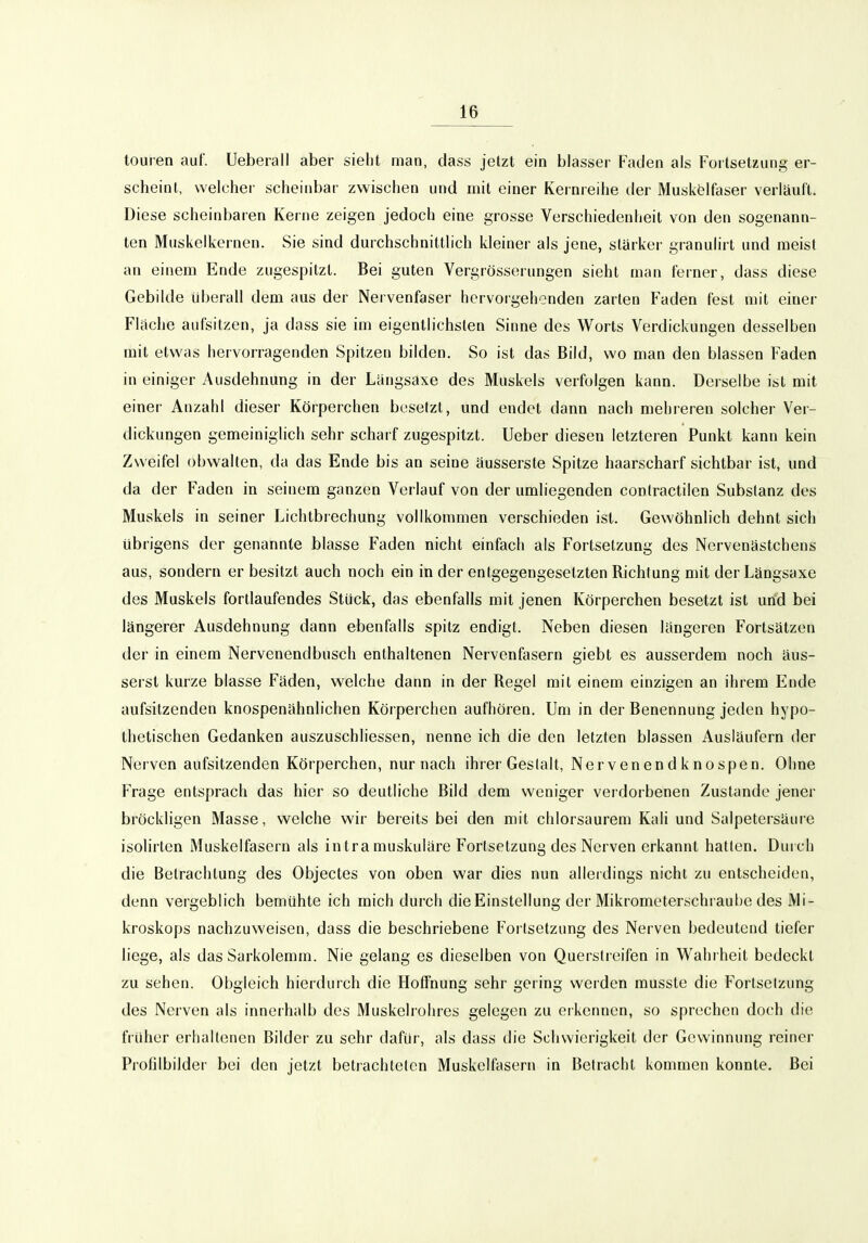 touren auf. Ueberall aber sieht man, dass jetzt ein blasser Faden als Fortsetzung er- scheint, welcher scheinbar zwischen und mit einer Keinreihe der Muskfelfaser verläuft. Diese scheinbaren Kerne zeigen jedoch eine grosse Verschiedenheit von den sogenann- ten Muskel kernen. Sie sind durchschnittlich kleiner als jene, stärker granulirt und meist an einem Ende zugespitzt. Bei guten Vergrösserungen sieht man ferner, dass diese Gebilde überall dem aus der Nervenfaser hervorgehenden zarlen Faden fest mit einer Fläche aufsitzen, ja dass sie im eigentlichsten Sinne des Worts Verdickungen desselben mit etwas hervorragenden Spitzen bilden. So ist das Bild, wo man den blassen Faden in einiger Ausdehnung in der Längsaxe des Muskels verfolgen kann. Derselbe ist mit einer Anzahl dieser Körperchen besetzt, und endet dann nach mehreren solcher Ver- dickungen gemeiniglich sehr scharf zugespitzt. Ueber diesen letzteren Punkt kann kein Zweifel obwalten, da das Ende bis an seine äusserste Spitze haarscharf sichtbar ist, und da der Faden in seinem ganzen Verlauf von der umliegenden contractilen Substanz des Muskels in seiner Lichtbrechung vollkommen verschieden ist. Gewöhnlich dehnt sich übrigens der genannte blasse Faden nicht einfach als Fortsetzung des Ncrvenästchens aus, sondern er besitzt auch noch ein in der entgegengesetzten Richtung mit der Längsaxe des Muskels fordaufendes Stück, das ebenfalls mit jenen Körperchen besetzt ist und bei längerer Ausdehnung dann ebenfalls spitz endigt. Neben diesen längeren Fortsätzen der in einem Nervenendbusch enthaltenen Nervenfasern giebt es ausserdem noch äus- serst kurze blasse Fäden, welche dann in der Regel mit einem einzigen an ihrem Ende aufsitzenden knospenähnlichen Körpeichen aufhören. Um in der Benennung jeden hypo- thetischen Gedanken auszuschliessen, nenne ich die den letzten blassen Ausläufern der Nerven aufsitzenden Körperchen, nur nach ihrer Gestalt, Nervenendknospen. Ohne Frage entsprach das hier so deutliche Bild dem weniger verdorbenen Zustande jener bröckligen Masse, welche wir bereits bei den mit chlorsaurem Kali und Salpetersäure isolirten Muskelfasern als in tra muskuläre Fortsetzung des Nerven erkannt hatten. Durch die Betrachtung des Objectes von oben war dies nun allerdings nicht zu entscheiden, denn vergeblich bemühte ich mich durch die Einstellung der Mikrometerschraube des Mi- kroskops nachzuweisen, dass die beschriebene Forlsetzung des Nerven bedeutend tiefer liege, als das Sarkolemm. Nie gelang es dieselben von Querstreifen in Wahrheit bedeckt zu sehen. Obgleich hierdurch die Hoffnung sehr gering werden musste die Fortsetzung des Nerven als inneihalb des Muskelrohres gelegen zu erkennen, so sprechen doch die früher erhaltenen Bilder zu sehr dafür, als dass die Schwierigkeit der Gewinnung reiner Profdbilder bei den jetzt betrachteten Muskelfasern in Betracht kommen konnte. Bei