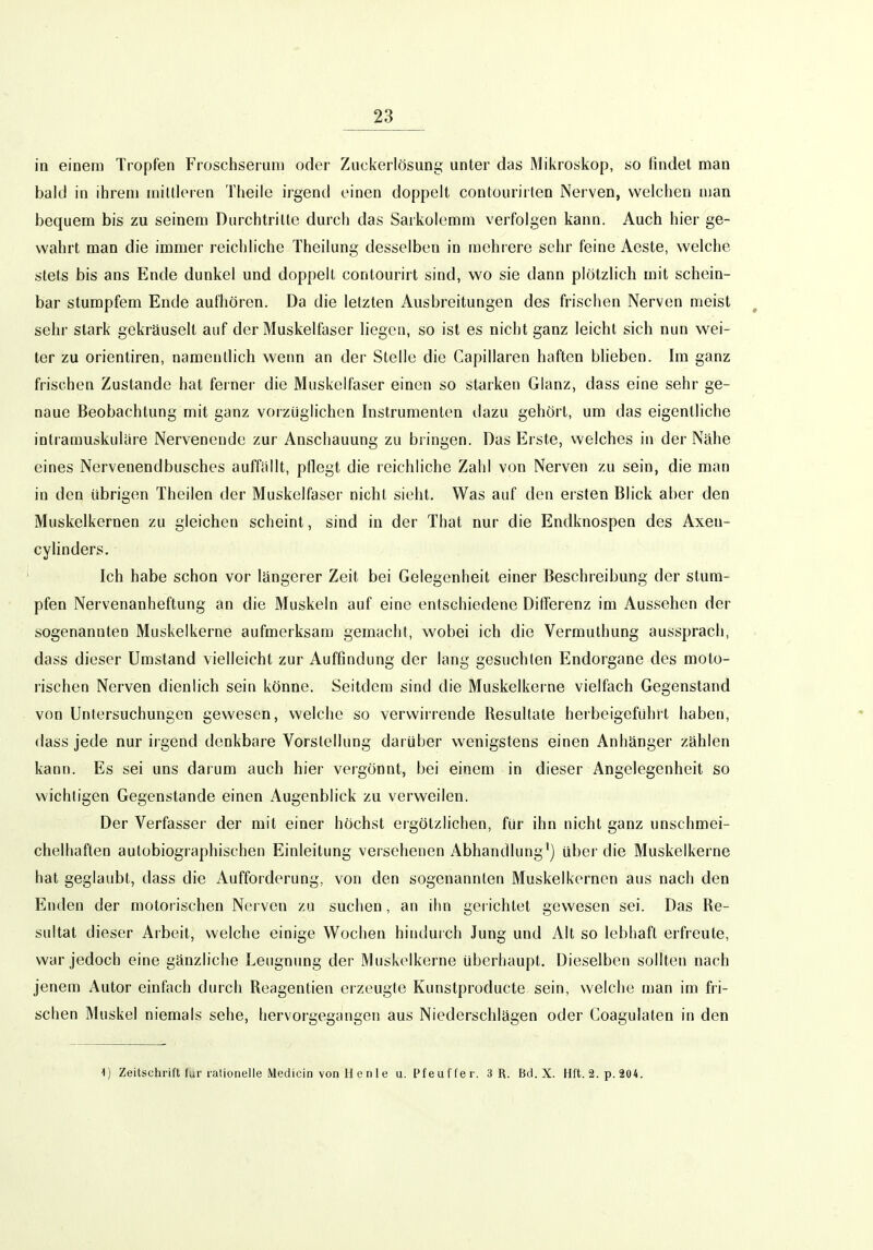 in einem Tropfen Froschserum oder Ziickerlösung unter das Miiirosiiop, so findet man bald in ihrem mittleren Theile irgend einen doppelt contourirten Nerven, welchen man bequem bis zu seinem Durchtrilte durch das Sarkolemm verfolgen kann. Auch hier ge- wahrt man die immer reichliche Theilung desselben in mehrere sehr feine Aeste, welche stets bis ans Ende dunkel und doppell contourirt sind, wo sie dann plötzlich mit schein- bar stumpfem Ende aufhören. Da die letzten Ausbreitungen des frischen Nerven meist sehr stark gekräuselt auf der Muskelfaser liegen, so ist es nicht ganz leicht sich nun wei- ter zu Orientiren, namenüich wenn an der Stelle die Capillaren haften blieben. Im ganz frischen Zustande hat ferner die Muskelfaser einen so starken Glanz, dass eine sehr ge- naue Beobachtung mit ganz vorzüglichen Instrumenten dazu gehört, um das eigentliche intramuskuläre Nervenende zur Anschauung zu bringen. Das Erste, welches in der Nähe eines Nervenendbusches auffällt, pflegt die reichliche Zahl von Nerven zu sein, die man in den übrigen Theilen der Muskelfaser nicht sieht. Was auf den ersten Blick aber den Muskelkernen zu gleichen scheint, sind in der That nur die Endknospen des Axen- cylinders. Ich habe schon vor längerer Zeit bei Gelegenheit einer Beschreibung der stum- pfen Nervenanheftung an die Muskeln auf eine entschiedene Dillerenz im Aussehen der sogenannten Muskelkerne aufmerksam gemacht, wobei ich die Vermuthung aussprach, dass dieser Umstand vielleicht zur Auffindung der lang gesuchten Endorgane des moto- rischen Nerven dienlich sein könne. Seitdem sind die Muskelkei ne vielfach Gegenstand von Untersuchungen gewesen, welche so verwirrende Resultate herbeigeführt haben, dass jede nur irgend denkbare Vorstellung darüber wenigstens einen Anhänger zählen kann. Es sei uns darum auch hier vergönnt, bei einem in dieser Angelegenheit so wichtigen Gegenstande einen Augenblick zu verweilen. Der Verfasser der mit einer höchst ergötzlichen, für ihn nicht ganz unschmei- chelhaften autobiographischen Einleitung versehenen Abhandlung') ubei-die Muskelkerne hat geglaubt, dass die Aufforderung, von den sogenannten Muskelkernen aus nach den Enden der motorischen Nei ven zu suclien, an ihn gerichtet gewesen sei. Das Re- sultat dieser Arbeit, welche einige Wochen hindurch Jung und Alt so lebhaft erfreute, war jedoch eine gänzliche Leugnung der Muskolkerne überhaupt. Dieselben sollten nach jenem Autor einfach durch Reagentien eizeugte Kunstproducte sein, welche man im fri- schen Muskel niemals sehe, hervorgegangen aus Niederschlägen oder Coagulaten in den 1) Zeitschrift lar rationelle Medicin von Henle u. Pfeuffer. 3 R. Bei. X. Hl't. 2. p. 204.
