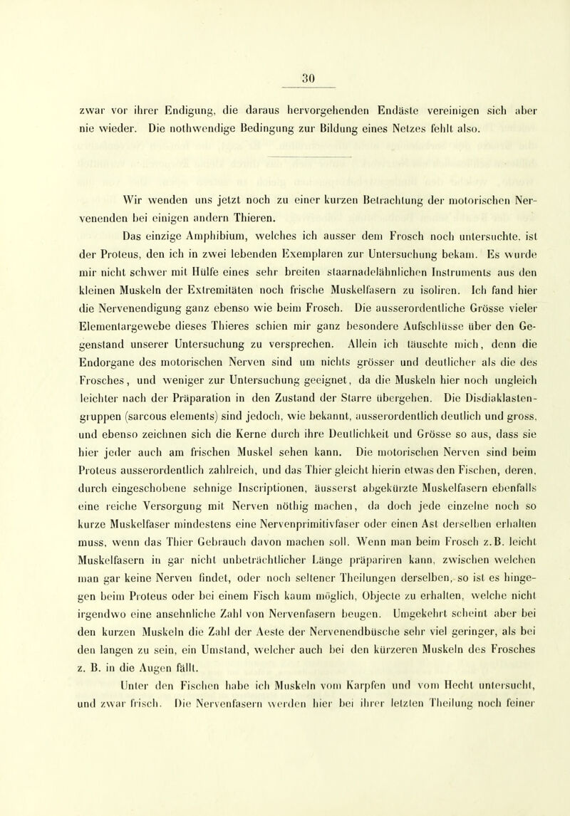 zwar vor ihrer Endigung, die daraus hervorgehenden Endäsle vereinigen sich aber nie wieder. Die nothwendige Bedingung zur Bildung eines Nelzes fehlt also. Wir wenden uns jetzt noch zu einer kurzen Betrachtung der motorischen Ner- venenden bei einigen andern Thieren. Das einzige Amphibium, welches ich ausser dem Frosch noch untersuchte, ist der Proteus, den ich in zwei lebenden Exemplaren zur Untersuchung bekam. Es wurde mir nicht schwer mit Hülfe eines sehr breiten slaarnadelshnhchon Instruments aus den kleinen Muskeln der Extremitäten noch frische Muskelfasern zu isoliren. Ich fand hier die Nervenendigung ganz ebenso wie beim Frosch. Die ausserordentliche Grösse vieler Elementargewebe dieses Thieres schien mir ganz besondere Aufschlüsse Uber den Ge- genstand unserer Untersuchung zu versprechen. Allein ich täuschte n)ich, denn die Endorgane des motorischen Nerven sind um nichts grösser und deutlicher als die des Frosches, und weniger zur Untersuchung geeignet, da die Muskeln hier noch ungleich leichter nach der Präparation in den Zustand der Starre übergehen. Die Disdiaklasten- gruppen (sarcous elements) sind jedoch, wie bekannt, ausserordentlich deutlich und gross, und ebenso zeichnen sich die Kerne diu-ch ihre Deutlichkeit und Grösse so aus, dass sie hier jeder auch am frischen Muskel sehen kann. Die motorischen Nerven sind beim Proteus ausserordentlich zahlreich, und das Thier gleicht hierin etwas den Fischen, deren, durch eingeschobene sehnige Inscriptionen, äusserst abgekürzte Muskelfasern ebenfalls eine reiche Versorgung mit Nerven nöthig machen, da doch jede einzelne noch so kurze Muskelfaser mindestens eine Nervenprimitivfaser oder einen Ast derselben erhallen muss, wenn das Thier Gebrauch davon machen soll. Wenn man beim Frosch z.B. leicht Muskelfasern in gar nicht unbeträchtlicher Länge präpariren kaim, zwischen welchen man gar keine Nerven findet, oder noch seltener Theilungen derselben, so ist es hinge- gen beim Proteus oder bei einem Fisch kaum möglich, übjecte zu eihallen, welche nicht irgendwo eine ansehnliche Zahl von Nervenfasern beugen. Umgekehrt scheint aber bei den kurzen Muskeln die Zahl der Aeste der Nervenendbüsche sehr viel geringer, als bei den langen zu sein, ein Umstand, welcher auch bei den kürzeren Muskeln des Frosches z. B. in die Augen fällt. Unter den Fischen habe ich Muskeln vom Karpfen und vom Hecht unteisucht, und zwar frisch. Die Nervenfasern werden hier bei ihrer letzten Theilung noch feiner