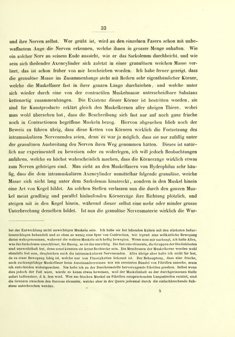 und ihre Nerven selbst. Wer geübt ist, wird an den einzelnen Fasern schon mit unbe- waffnetem Auge die Nerven erkennen, welche ihnen in grosser Menge anhaften. Wie ein solcher Nerv an seinem Ende aussieht, wie er das Sarkolemm durchbricht, und wie sein sich theilender Axencylinder sich zuletzt in einer granulösen weichen Masse ver- liert, das ist schon früher von mir beschrieben worden. Ich habe ferner gezeigt, dass die granulöse Masse im Zusammenhange steht mit Reihen sehr eigenthümlicher Körner, welche die Muskelfaser fast in ihrer ganzen Länge durchziehen, und welche unter sich wieder durch eine von der contractilen Muskelmasse unterscheid bare Substanz kettenartig zusammenhangen. Die Existenz dieser Körner ist bestritten worden, sie sind für Kunstproducte erklärt gleich den Muskelkernen aller übrigen Thiere, wobei man wohl übersehen hat, dass die Beschreibung sich fast nur auf noch ganz frische noch in Contractionen begriffene Muskeln bezog. Hiervon abgesehen blieb noch der Beweis zu führen übrig, dass diese Ketten von Körnern wirklich die Fortsetzung des intramuskulären Nervenendes seien, denn es war ja möglich, dass sie nur zufällig unter der granulösen Ausbreitung des Nerven ihren Weg genommen hätten. Dieses ist natür- lich nur experimentell zu beweisen oder zu widerlegen, ich will jedoch Beobachtungen anführen, welche es höchst wahrscheinlich machen, dass die Körnerzüge wirklich etwas zum Nerven gehöriges sind. Man sieht an den Muskelfasern von Hydrophilus sehr häu- fig, dass die dem intramuskulären Axencylinder unmittelbar folgende granulöse, weiche Masse sich nicht lang unter dem Sarkolemm hinstreckt, sondern in den Muskel hinein eine Art von Kegel bildet. An solchen Stellen verlassen nun die durch den ganzen Mus- kel meist gradlinig und parallel hinlaufenden Körnerzüge ihre Richtung plötzlich, und steigen mit in den Kegel hinein, während dieser selbst eine mehr oder minder grosse Unterbrechung derselben bildet, Ist nun die granulöse Nervenmaterie wirklich die Wür- bet der Entwicklung nicht unwichtigen Muskeln sein. Ich habe sie bei lebenden Käfern mit den stärksten Induc- tionsschiägen behandelt und so eben so wenig eine Spur von Contraction, wie irgend eine willkürliche Bewegung daran wahrgenommen, während die wahren Muskeln sich heftig bewegten. Wenn man mir nachsagt, ich halte Alles, was das Sarkolemm umschliessl, für flüssig, so ist das unrichtig. Die Sarcous elements, die Gruppen derDisdlaklasten sind unzweifelhaft fest, denn sonst könnten sie keine Rechtecke sein. Die Membranen der Muskelkerne werden wohl ebenfalls fest sein, desgleichen auch die intramuskulären Nervenenden. Alles übrige aber halle ich nicht für fest, da es einer Bewegung fähig ist, welche nur von Flüssigkeilen bekannt ist. Der Behauptung, dass eine frische, noch zuckungsfähige Muskelfaser beim Auseinanderreissen wie ein zerstörtes Bündel von Fibrillen aussehe, muss ich entschieden widersprechen. Nie habe ich an der Durchrissstelle hervorragende Fibrillen gesehen. Selbst wenn dies jedoch der Fall wäre, würde es kaum etwas beweisen, weil der Muskelinhalt an der durchgerissenen Stelle sofort tüdtenstarr, d. h. fest wird. Was am frischen Muskel an Fibrillen entsprechenden Längsstreifen existirt, sind die Grenzen zwischen den Sarcous elements, welche aber in der Quere jedesmal durch die einfachbrechende Sub- stanz unterbrochen werden. 5