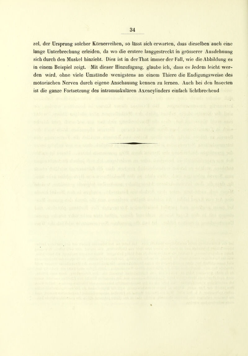 zel, der Ursprung solcher Körnerreihen, so lässt sich erwarten, dass dieselben auch eine lange Unterbrechung erleiden, da wo die erstere langgestreckt in grösserer Ausdehnung sich durch den Muskel hinzieht. Dies ist in derThat immer der Fall, wie die Abbildung es in einem Beispiel zeigt. Mit dieser Hinzufügung, glaube ich, dass es Jedem leicht wer- den wird, ohne viele Umstände wenigstens an einem Thiere die Endigungsweise des motorischen Nerven durch eigene Anschauung kennen zu lernen. Auch bei den Insecten ist die ganze Fortsetzung des intramuskulären Axencylinders einfach lichtbrechend