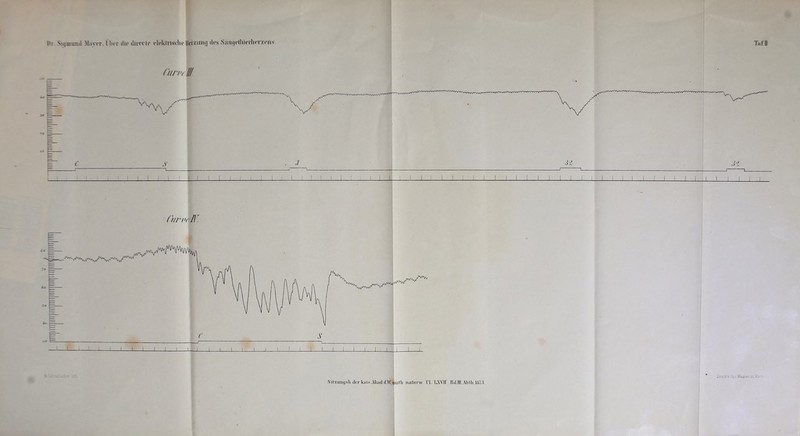 TnfJ Hr Sigmund Maver. I her die di recte elektrische Hoiv.iuu) des Sant|etlüerheriens Cunu Ul Cur mW. I I i 1 1 i 1 L_J I I J ! i I I I 1 I I 1 I l 1 1 1 Sitzung sh. der kais.Akail (l.Wouitli naturw l'l. LXYffl IdJU.A'btlLlölS. Druck v Joj.lrfaaiter
