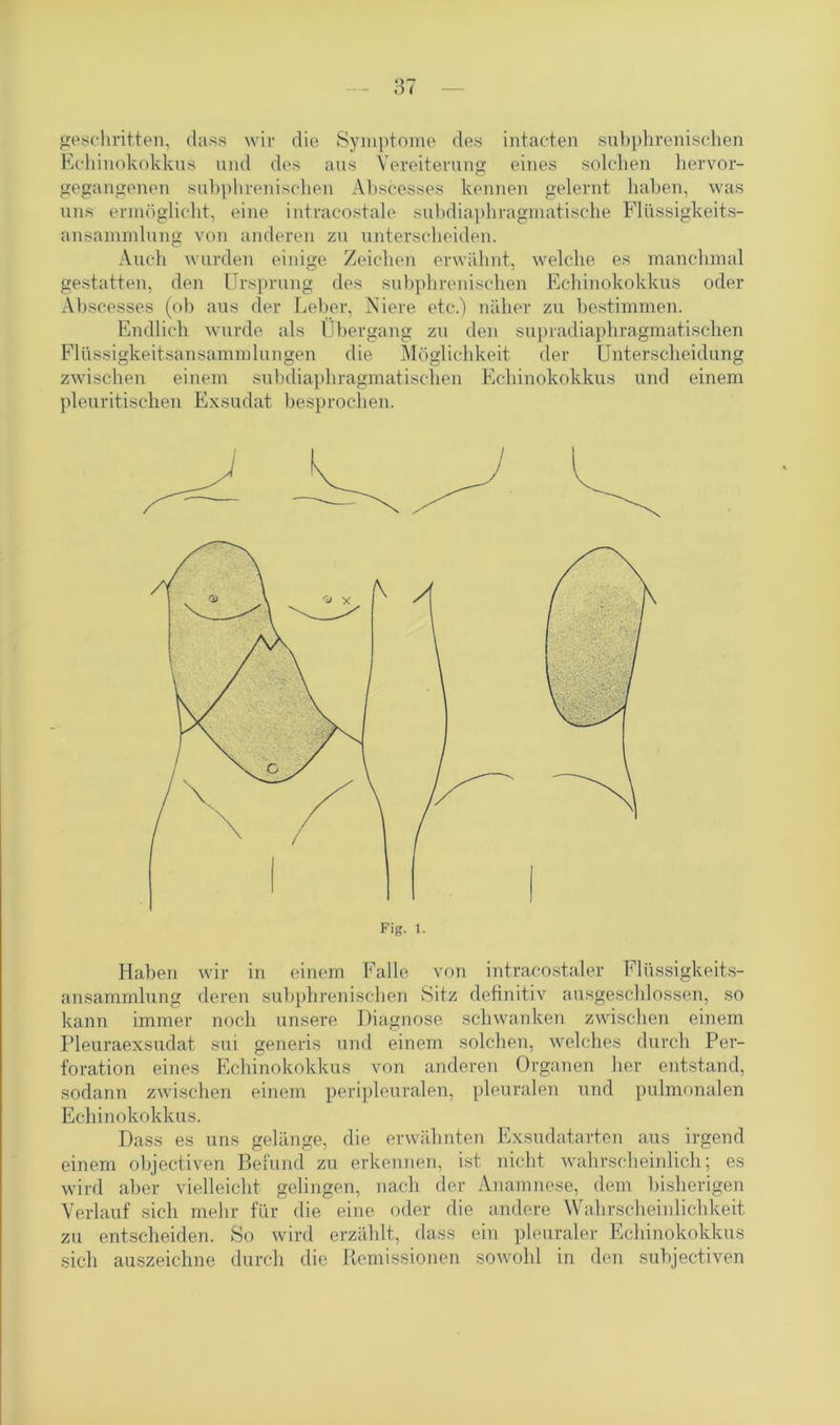 geschritten, dass wir die Symptome des intacten subphrenischen Echinokokkus und des aus Vereiterung eines solchen hervor- gegangenen subphrenischen Abscesses kennen gelernt haben, was uns ermöglicht, eine intraeostale subdiaphragmatische Flüssigkeits- ansammlung von anderen zu unterscheiden. Auch wurden einige Zeichen erwähnt, welche es manchmal gestatten, den Ursprung des subphrenischen Echinokokkus oder Abscesses (ob aus der Leber, Niere etc.) näher zu bestimmen. Endlich wurde als Übergang zu den supradiaphragmatischen Flüssigkeitsansammlungen die Möglichkeit der Unterscheidung zwischen einem subdiaphragmatischen Echinokokkus und einem pleuritischen Exsudat besprochen. Haben wir in einem Falle von intracostaler Flüssigkeits- ansammlung deren subphrenischen Sitz definitiv ausgeschlossen, so kann immer noch unsere Diagnose schwanken zwischen einem Pleuraexsudat sin generis und einem solchen, welches durch Per- foration eines Echinokokkus von anderen Organen her entstand, sodann zwischen einem peripleuralen, pleuralen und pulmonalen Echinokokkus. Dass es uns gelänge, die erwähnten Exsudatarten aus irgend einem objectiven Befund zu erkennen, ist nicht wahrscheinlich; es wird aber vielleicht gelingen, nach der Anamnese, dem bisherigen Verlauf sich mehr für die eine oder die andere Wahrscheinlichkeit zu entscheiden. So wird erzählt, dass ein pleuraler Echinokokkus sich auszeichne durch die Remissionen sowohl in den subjectiven Fig. 1.