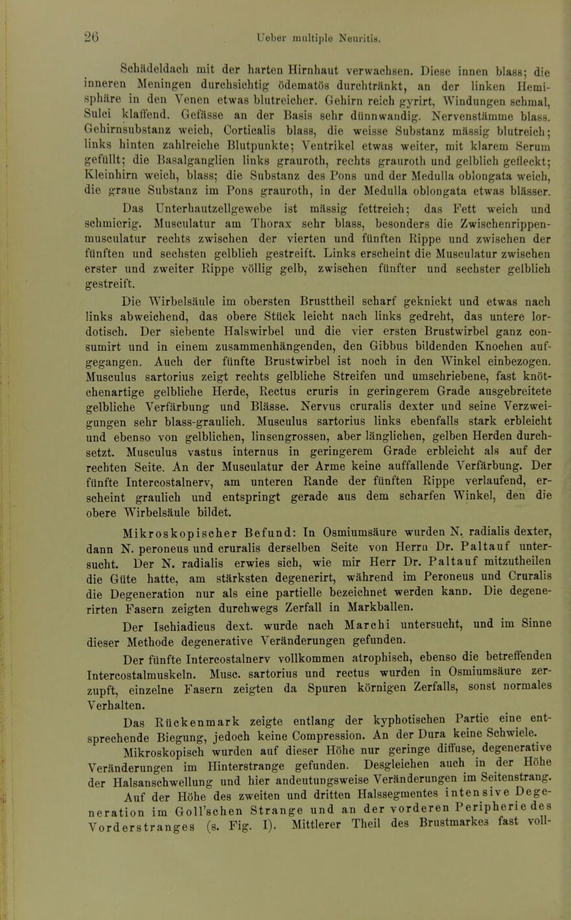 Schüdeldach mit der harten Hirnhaut verwachsen. Diese innen blass; die inneren Meningen durchsichtig ödematös durclitränltt, an der linken Hemi- sphäre in den Venen etwas blutreicher, Gehirn reich gyrirt, Windungen schmal, Sulci klalftnd. Gefässe an der Basis sehr dünnwandig. Nervenstämme blass. Gehirnsubstanz weich, Corticalis blass, die weisse Substanz mässig blutreich; links hinten zahlreiche Blutpunkte; Ventrikel etwas weiter, mit klarem Serum gefüllt; die Basalganglien links grauroth, rechts grauroth und gelblich gefleckt; Kleinhirn weich, blass; die Substanz des Pons und der Medulla oblongata weich, die graue Substanz im Pons grauroth, in der Medulla oblongata etwas blässer. Das Unterhautzellgewebe ist mässig fettreich; das Fett weich und schmierig. Musculatur am Thorax sehr blass, besonders die Zwischenrippen- musculatur rechts zwischen der vierten und fünften Rippe und zwischen der fünften und sechsten gelblich gestreift. Links erscheint die Musculatur zwischen erster und zweiter Rippe völlig gelb, zwischen fünfter und sechster gelblich gestreift. Die Wirbelsäule im obersten Brusttheil scharf geknickt und etwas nach links abweichend, das obere Stück leicht nach links gedreht, das untere lor- dotisch. Der siebente Halswirbel und die vier ersten Brustwirbel ganz con- sumirt und in einem zusammenhängenden, den Gibbus bildenden Knochen auf- gegangen. Auch der fünfte Brustwirbel ist noch in den Winkel einbezogen. Musculus sartorius zeigt rechts gelbliche Streifen und umschriebene, fast knöt- chenartige gelbliche Herde, Rectus cruris in geringerem Grade ausgebreitete gelbliche Verfärbung und Blässe. Nervus cruralis dexter und seine Verzwei- gungen sehr blass-graulich. Musculus sartorius links ebenfalls stark erbleicht und ebenso von gelblichen, linsengrossen, aber länglichen, gelben Herden durch- setzt. Musculus vastus internus in geringerem Grade erbleicht als auf der rechten Seite. An der Musculatur der Arme keine auffallende Verfärbung. Der fünfte Intercostalnerv, am unteren Rande der fünften Rippe verlaufend, er- scheint graulich und entspringt gerade aus dem scharfen Winkel, den die obere Wirbelsäule bildet. Mikroskopischer Befund: In Osmiumsäure wurden N, radialis dexter, dann N. peroneus und cruralis derselben Seite von Herrn Dr. Paltauf unter- sucht. Der N. radialis erwies sich, wie mir Herr Dr. Pal tauf mitzutheilen die Güte hatte, am stärksten degenerirt, während im Peroneus und Cruralis die Degeneration nur als eine partielle bezeichnet werden kann. Die degene- rirten Fasern zeigten durchwegs Zerfall in Markballen. Der Ischiadicus dext. wurde nach Marchi untersucht, und im Sinne dieser Methode degenerative Veränderungen gefunden. Der fünfte Intercostalnerv vollkommen atrophisch, ebenso die betreffenden Intercostalmuskeln. Muse, sartorius und rectus wurden in Osmiumsäure zer- zupft, einzelne Fasern zeigten da Spuren körnigen Zerfalls, sonst normales Verhalten. Das Rückenmark zeigte entlang der kyphotischen Partie eine ent- sprechende Biegung, jedoch keine Compression. An der Dura keine Schwiele. Mikroskopisch wurden auf dieser Höhe nur geringe diffuse, degenerative Veränderungen im Hinterstrange gefunden. Desgleichen auch in der Höhe der Halsanschwellung und hier andeutungsweise Veränderungen im Seitenstrang. Auf der Höhe des zweiten und dritten Halssegmentes intensive Dege- neration im Goll'schen Strange und an der vorderen Peripherie des Vorderstranges (s. Fig. I). Mittlerer Theil des Brustmarkes fast voll-