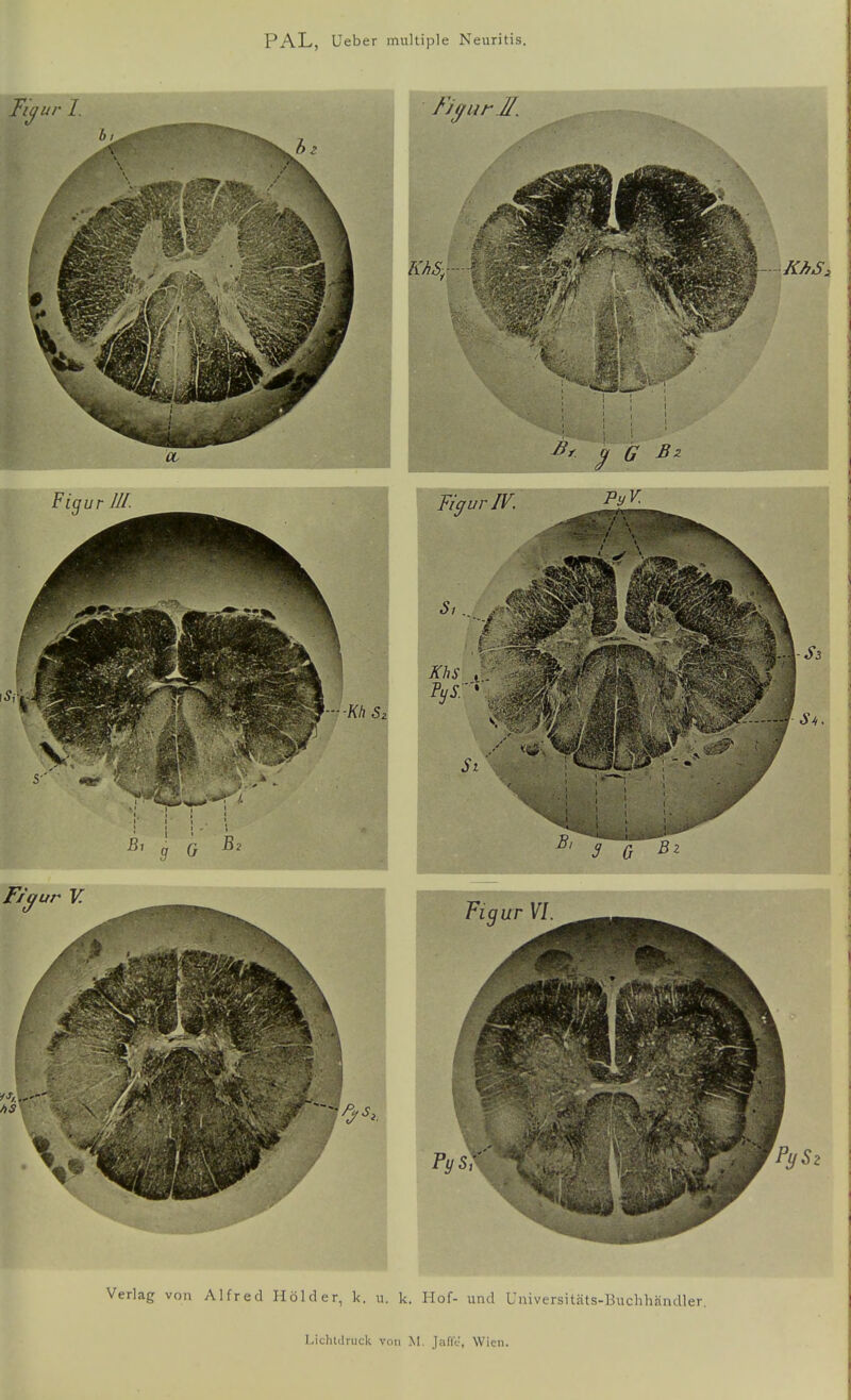 Verlag von Alfred Holder, k. u. k. Hof- und Universitäts-Buchhändler. I.icliulriick von M. Jaflt', Wien.