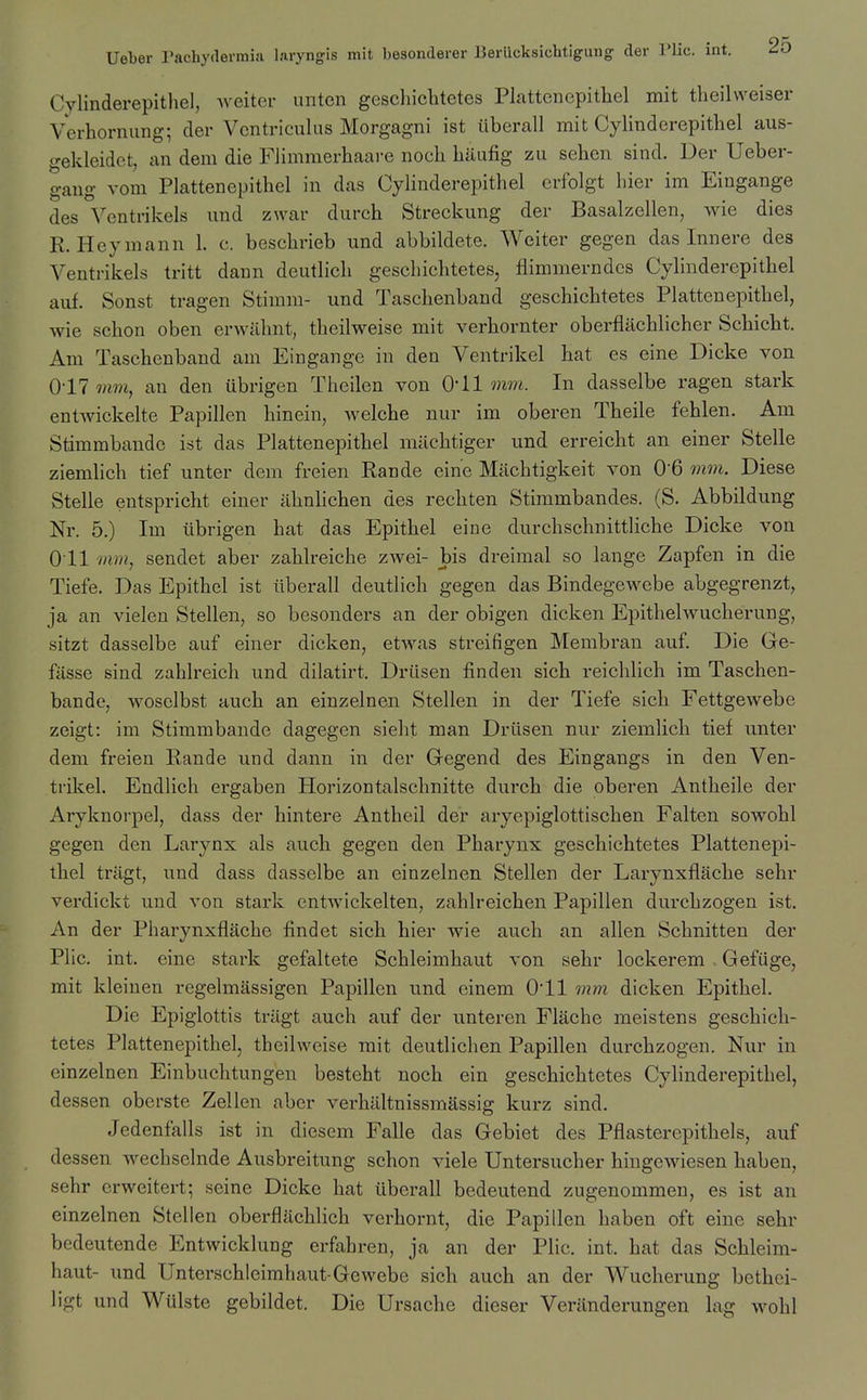 Cvlinderepithel, weiter untcn geschiclitetes Plattcnepithel mit tlieilweiser Verhornung; der Vcntriculus Morgagni ist iiberall mit Cylinderepithel aus- gekleidct, an dem die Flimmerhaare noch biiufig zu sehen sind. Der Ueber- gaug vom Plattenepitbel in das Cylinderepithel crfolgt hier im Eingange des Ventrikels und zwar durcb Streckung der Basalzellen, wie dies R. Heymann 1. c. beschrieb und abbildete. Weiter gegen das Innere des Ventrikels tritt dann deutlich gescliichtetes, flimmerndcs Cylinderepithel auf. Sonst tragen Stimm- und Taschenband geschichtetes Plattenepitbel, wie schon oben erwilhnt, theilweise mit verbornter oberflachlicher Schicbt. Am Taschenband am Eingange in den Ventrikel bat es eine Dicke von 0-17 mvi, an den iibrigen Theilen von 0-11 min. In dasselbe ragen stark entwickelte Papillen binein, welche nur im oberen Theile feblen. Am Stimmbande ist das Plattenepitbel miichtiger und erreicbt an einer Stelle ziemlich tief unter dem freien Rande eine Macbtigkeit von 0-6 mm. Diese Stelle entspricht einer ahnbcben des recbten Stimmbandes. (S. Abbildung Nr. 5.) Im iibrigen bat das Epithel eine durchschnittliche Dicke von 011 mm, sendet aber zahlreiche zwei- bis dreimal so lange Zapfen in die Tiefe. Das Epithel ist iiberall deutlich gegen das Bindegewebe abgegrenzt, ja an vielen Stellen, so besonders an der obigen dicken Epithelwucherung, sitzt dasselbe auf einer dicken, etwas streifigen Membran auf. Die Ge- fiisse sind zahlreich und dilatirt. Drilsen finden sicb reichlich im Taschen- bande, wosclbst auch an einzelnen Stellen in der Tiefe sicb Fettgewebe zeigt: im Stimmbande dagegen sieht man Driisen nur ziemlich tief unter dem freien Rande und dann in der Gegend des Eingangs in den Ven- trikel. Endlich ergaben Horizontalschnitte durcb die oberen Antheile der Aryknorpel, dass der hintere Antheil der aryepiglottischen Falten sowohl gegen den Larynx als auch gegen den Pharynx geschichtetes Plattenepi- tbel triigt, und dass dasselbe an einzelnen Stellen der Larynxflache sebr verdickt und von stark entwickelten, zahlreichen Papillen durchzogen ist. An der Pharynxflache findet sicb bier wie auch an alien Schnitten der Plic. int. eine stark gefaltete Schleimbaut von sebr lockerem . Gefuge, mit kleinen regelmassigen Papillen und einem 011 myn dicken Epithel. Die Epiglottis triigt auch auf der unteren Flache moistens geschich- tetes Plattenepitbel, theilweise mit deutlichen Papillen durchzogen. Nur in einzelnen Einbuchtungen besteht noch ein geschichtetes Cylinderepithel, dessen oberste Zellen aber verhtiltnissmassig kurz sind. Jedenfalls ist in diesem Falle das Gebiet des Pflasterepithels, auf dessen wechselnde Ausbreitung schon viele Untersucher hingewiesen baben, sebr erweitert; seine Dicke hat iiberall bedeutend zugenommen, es ist an einzelnen Stellen oberflachlich verhornt, die Papillen haben oft eine sebr bedeutende Entwicklung erfabren, ja an der Plic. int. hat das Schleim- baut- und Unterschleimhaut-Gewebe sich auch an der Wucherung betbei- ligt und Wiilste gebildet. Die Ursache dieser Veriinderungen lag wohl