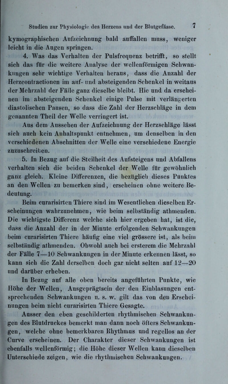 kymographischen Aufzeichnung bald auffallen muss, weniger leicht in die Augen springen. 4. Was das Verhalten der Pulsfrequenz betrifft, so stellt sich das für die weitere Analyse der wellenförmigen Schwan- kungen sehr wichtige Verhalten heraus, dass die Anzahl der Herzcontractionen im auf- und absteigenden Schenkel in weitaus der Mehrzahl der Fälle ganz dieselbe bleibt. Hie und da erschei- nen im absteigenden Schenkel einige Pulse mit verlängerten diastolischen Pausen, so dass die Zahl der Herzschläge in dem genannten Theil der Welle verringert ist. Aus dem Aussehen der Aufzeichnung der Herzschläge lässt sich auch kein Anhaltspunkt entnehmen, um denselben in den verschiedenen Abschnitten der Welle eine verschiedene Energie zuzuschreiben. 5. In Bezug auf die Steilheit des Aufsteigens und Abfallens verhalten sich die beiden Schenkel der Welle für gewöhnlich ganz gleich. Kleine Differenzen, die bezüglich dieses Punkles an den Wellen zu bemerken sind, erscheinen ohne weitere Be- deutung. Beim curarisirten Thiere sind im Wesentlichen dieselben Er- scheinungen wahrzunehmen, wie beim selbständig athmenden. Die wichtigste Differenz welche sich hier ergeben hat, ist die, dass die Anzahl der in der Minute erfolgenden Schwankungen beim curarisirten Thiere häufig eine viel grössere ist, als beim selbständig athmenden. Obwohl auch bei ersterem die Mehrzahl der Fälle 7—10 Schwankungen in der Minute erkennen lässt, so kann sich die Zahl derselben doch gar nicht selten auf 12—20 und darüber erheben. In Bezug auf alle oben bereits angeführten Punkte, wie Höhe der Wellen, Ausgeprägtsein der den Einblasungen ent- sprechenden Schwankungen u. s. w. gilt das von den Erschei- nungen beim nicht curarisirten Thiere Gesagte. Ausser den eben geschilderten rhythmischen Schwankun- gen des Blutdruckes bemerkt man dann noch öfters Schwankun- gen, welche ohne bemerkbaren Bhythmus und regellos an der Curve erscheinen. Der Charakter dieser Schwankungen ist ebenfalls wellenförmig; die Höhe dieser Wellen kann dieselben Unterschiede zeigen, wie die rhythmischen Schwankungen.