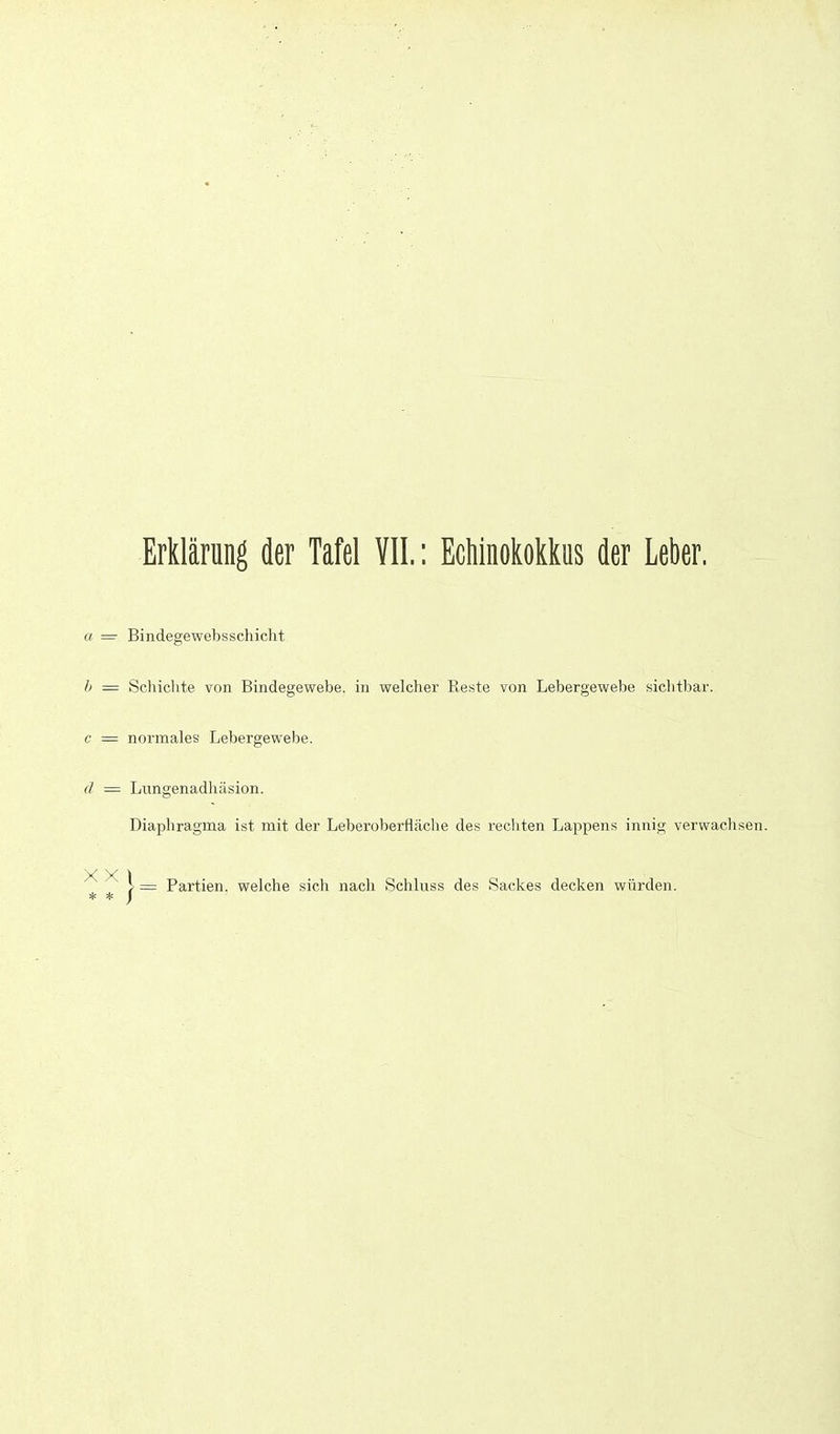 Erklärung der Tafel VII.: Echinokokkus der Leber. a = Bindegewebsschicht b — Scliichte von Bindegewebe, in welcher Reste von Lebergewebe siclitbar. c — normales Lebergewebe. (/ = Lnngenadliäsion. Diaphragma ist mit der Leberoberfläche des rechten Lappens innig verwachsen. X X i \ — Partien, welche sich nach Schluss des Sackes decken würden. * * j