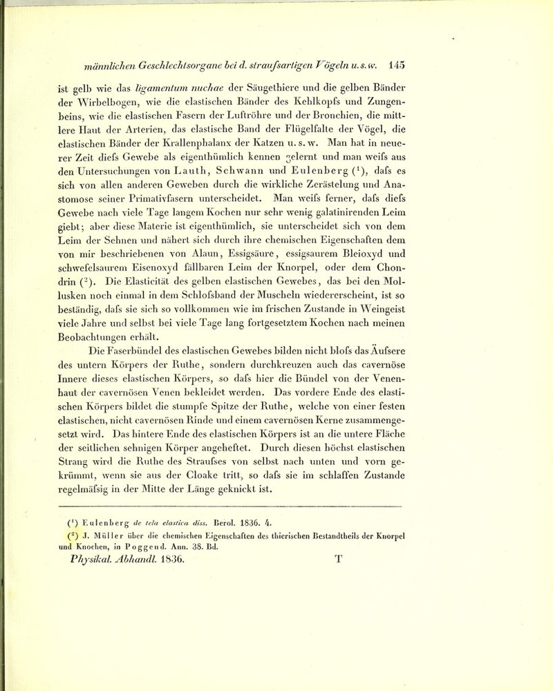 ist gelb wie das ligamentwn nuchae der Säugetbiere und die gelben Bänder der Wirbelbogen, wie die elastischen Bänder des Kehlkopfs und Zungen- beins, wie die elastischen Fasern der Luftröhre und der Bronchien, die mitt- lere Haut der Arterien, das elastische Band der Flügelfalte der Vögel, die elastischen Bänder der Krallenphalanx der Katzen u. s. w. Man hat in neue- rer Zeit diefs Gewebe als eigenthümlich kennen gelernt und man weifs aus den üntei’suchungen von Lauth, Schwann und Eulenberg (^), dafs es sich von allen anderen Geweben durch die wirkliche Zerästelung und Ana- stomose seiner Primativfasern unterscheidet. Man weifs ferner, dafs diefs Gewebe nach viele Tage langem Kochen nur sehr wenig galatinirenden Leim giebt; aber diese Materie ist eigenthümlich, sie unterscheidet sich von dem Leim der Sehnen und nähert sich durch ihre chemischen Eigenschaften dem von mir beschriebenen von Alaun, Essigsäure, essigsaurem Bleioxyd und schwefelsaurem Eisenoxyd fällbaren Leim der Knorpel, oder dem Chon- drin (-). Die Elasticität des gelben elastischen Gewebes, das bei den Mol- lusken noch einmal in dem Schlofsband der Muscheln wiedererscheint, ist so beständig, dafs sie sich so vollkommen wie im frischen Zustande in Weingeist viele Jahre und selbst bei viele Tage lang fortgesetztem Kochen nach meinen Beobachtungen erhält. Die Faserbündel des elastischen Gewebes bilden nicht blofs das Aufsere des untern Körpers der P\tithe, sondern durchkreuzen auch das cavernöse Innere dieses elastischen Körpers, so dafs hier die Bündel von der Venen- haut der cavernösen Venen bekleidet werden. Das vordere Ende des elasti- schen Körpers bildet die stumpfe Spitze der Ruthe, welche von einer festen elastischen, nicht cavernösen Rinde und einem cavernösen Kerne zusammenge- setzt wird. Das hintere Ende des elastischen Körpers ist an die untere Fläche der seitlichen sehnigen Körper angeheftet. Durch diesen höchst elastischen Strang wird die Ruthe des Straufses von selbst nach unten und vorn ge- krümmt, wenn sie aus der Cloake tritt, so dafs sie im schlaffen Zustande regelmäfsig in der Mitte der Länge geknickt ist. (') Eulenberg de tela elastica diss. Berol. 1836. 4. (^) J. Müller über die ebemiseben Eigensebaften des tbierischen Bestandtheils der Knorpel und Knochen, in Poggend. Ann. 38. Bd. Physilial. Ahhandl. 1836. T