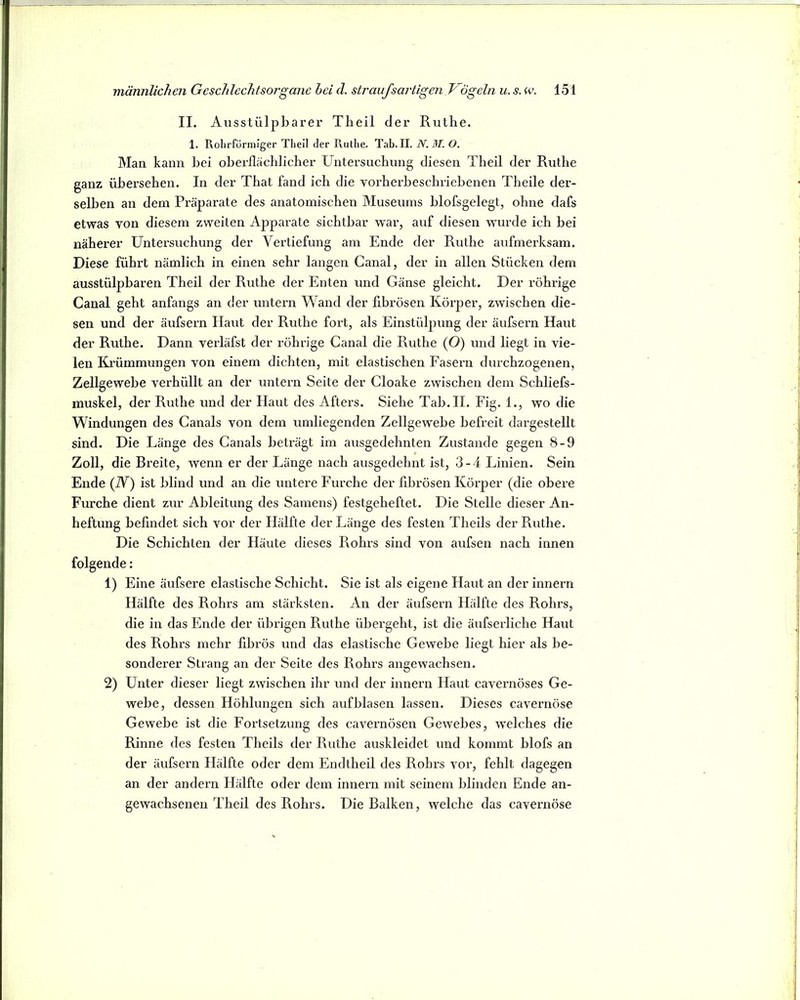 II. Aus stülpbarer Tbeil der Ruthe. 1. Rolirformiger Theil der Rutlie. Tab. II. N. M. O. Man kann bei oberflächlicher Untersuchung diesen Theil der Ruthe ganz übersehen. In der That fand ich die vorhex’heschriebenen Theile der- selben an dem Prcäparate des anatomischen Museums hlofsgelegt, ohne dafs etwas von diesem zweiten Apparate sichtbar war, auf diesen wurde ich bei näherer üntei’suchung der Vertiefung am Ende der Ruthe aufmerksam. Diese führt nämlich in einen sehr langen Canal, der in allen Stücken dem ausstülpbaren Theil der Ruthe der Enten und Gänse gleicht. Der rührige Canal geht anfangs an der untern Wand der fibrösen Körper, zwischen die- sen und der äufsern Haut der Ruthe fort, als Einstülpung der äufsern Haut der Ruthe. Dann verläfst der rührige Canal die Ruthe (O) und liegt in vie- len Krümmungen von einem dichten, mit elastischen Fasern durchzogenen, Zellgewebe verhüllt an der untern Seite der Cloake zwischen dem Schliefs- muskel, der Ruthe und der Haut des Afters. Siehe Tab. II. Fig. 1., wo die Windungen des Canals von dem umliegenden Zellgewebe befreit dargestellt sind. Die Länge des Canals beträgt im ausgedehnten Zustande gegen 8-9 Zoll, die Breite, wenn er der Länge nach ausgedehnt ist, 3-4 Linien. Sein Ende (N) ist blind und an die untere Furche der fibrösen Körper (die obere Furche dient zur Ableitung des Samens) festgeheftet. Die Stelle dieser An- heftung befindet sich vor der Hälfte der Länge des festen Theils der Ruthe. Die Schichten der Häute dieses Rohrs sind von aufsen nach innen folgende: 1) Eine äufsere elastische Schicht. Sie ist als eigene Haut an der innern Hälfte des Rohrs am stärksten. An der äufsern Hälfte des Rohi’s, die in das Ende der übrigen Ruthe übergeht, ist die äufserliche Haut des Rohrs mehr fibrös und das elastische Gewebe liegt hier als be- sonderer Strang an der Seite des Rohrs angewachsen. 2) Unter dieser liegt zwischen ihr und der innern Haut cavernöses Ge- webe, dessen Höhlungen sich aufblasen lassen. Dieses cavernöse Gewebe ist die Fortsetzung des cavernösen Gewebes, w'elches die Rinne des festen Theils der Ruthe auskleidet und kommt blofs an der äufsern Hälfte oder dem Endtheil des Robrs vor, fehlt dagegen an der andern Hälfte oder dem innern mit seinem blinden Ende an- gewachsenen Theil des Rohrs. Die Balken, welche das cavernöse