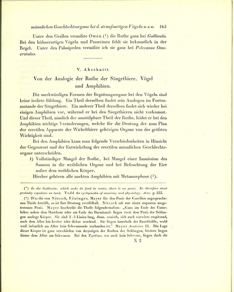 Unter den Grallen vermifste Owen (^) die Rutlie ganz bei Gallinula. Bei den hühnerartigen Yögeln und Passerinen fehlt sie bekanntlich in der Regel. Unter den Pahnipeden vermifste ich sie ganz bei Pelecanus Ono- crotalus. V. Abschnitt. Von der Analogie der Ruthe der Säugetliiere, Yogel und Amphibien. Die merkwürdigen Formen der Begattimgsorgane bei den Vögeln sind keine isolirte Bildung. Ein Theil derselben findet sein Analogon im Foetus- zustande der Säugethiere. Ein anderer Theil derselben findet sich wieder bei einigen Amphibien vor, während er bei den Säugethieren nicht vorkommt. Und dieser Theil, nämlich der ausstülpbare Theil der Puithe, leidet er bei den Amphibien wichtige Veränderungen, welche für die Deutung der zum Plan der erectilen Apparate der Wirbelthiere gehörigen Organe von der gröfsten Wichtigkeit sind. Bei den Amphibien kann man folgende Verschiedenheiten in Hinsicht der Gegenwart und der Entwickelung der erectilen männlichen Geschlechts- organe unterscheiden. 1) Vollständiger Mangel der Ruthe, bei Mangel einer Immission des Samens in die weiblichen Organe und bei Befruchtung der Eier aufser dem weiblichen Körper. Hierher gehören alle nackten Amphibien mit Metamorphose (^). (*) (*) In the Gallinula, which seeks ils fand in water, liiere is nn penis. Its tlicrefore rnost prohahly copulales on land. Todd the cjclnpaedia of anatornj and phjsiologj. Aves. p. 355. (d) Was die von Nitzscli, Fitziiiger, Mayer für den Penis der Coecilien angesproche- nen Tlieile betrifft, so ist ihre Deutung zweifelhaft. Nitzsch sah nur einen unpaaren ausge- tretenen Penis. Mayer beschreibt die Theile folgendermafsen: ,,Ganz am Ende des Unter- leibes neben dem Mastdarm oder am Ende des Darmkanals liegen zwei dem Penis der Schlan- gen analoge Körper. Sie sind 2-3 Linien lang, dünn, conisch, sich nach vorwärts zuspitzend, nach dem After hin breiter oder dicker werdend. Sie liegen innerhalb der Bauchhöhle, wohl weil äufserlich am After kein Schwanzende vorhanden ist.” Mayer 51. Die Lage dieser Körper ist ganz verschieden von derjenigen der Ruthen der Schlangen, letztere liegen hinter dem After am Schwänze. Bel den Tjphlops, wo auch kein Schwanz, liegen doch die X 2
