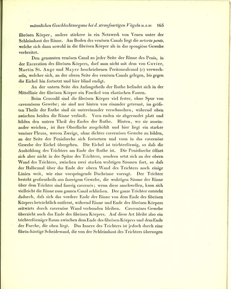 fibrösen Körper, andere stärkere in ein Netzwerk von Venen unter der Schleimhaut der Rinne. Am Boden des venösen Canals liegt die arleria penis, welche sich dann sowohl in die fibrösen Körper als in das spongiöse Gewebe verbreitet. Den genannten venösen Canal zu jeder Seite der Rinne des Penis, in der Excavation des fibrösen Körpers, darf man nicht mit dem von Cuvier, Martin St. Ange und Mayer beschi’iebenen Peritonealcanal (c) verwech- seln, welcher sich, an der obern Seite des venösen Canals gelegen, bis gegen die Eichel hin fortsetzt und hier blind endigt. An der untern Seite des Anfangstheils der Ruthe befindet sich in der Mittellinie der fibrösen Körper ein Fascikel von elastischen Fasern. Beim Crocodil sind die fibrösen Körper viel fester, ohne Spur von cavernösem Gewebe; sie sind nur hinten von einander getrennt, im gi’öfs- ten Theile der Ruthe sind sie untereinander verschmolzen, während oben zwischen beiden die Rinne verläuft. Vorn enden sie al)gerundet platt und bilden den untern Theil des Endes der Ruthe. Hinten, wo sie ausein- ander weichen, ist ihre Oberfläche ausgehöhlt und hier liegt ein starker venöser Plexus, wovon Zweige, ohne dichtes cavernöses Gewebe zu bilden, an der Seite der Penisfurche sich fortsetzen und vorn in das cavernöse Gewebe der Eichel übergehen. Die Eichel ist trichterförmig, so dafs die Aushöhlung des Trichters am Ende der Ruthe ist. Die Penisfurche öffnet sich aber nicht in der Spitze des Trichters, sondern setzt sich an der obern Wand des Trichters, zwischen zwei starken wulstigen Säumen fort, so dafs der Halbcanal über das Ende der obern Wand des Trichters noch einige Linien weit, wie eine vorspringende Dachrinne vorragt. Der Trichter besteht grofsentheils aus faserigem Gewebe, die wulstigen Säume der Rinne über dem Trichter sind faserig cavernös; wenn diese anschwcllen, kann sich vielleicht die Rinne zum ganzen Canal schliefsen. Der ganze Trichter entsteht dadurch, dafs sich das vordere Ende der Rinne von dem Ende des fibrösen Körpers beträchtlich entfernt, w^ährend Rinne und Ende des fibrösen Körpers seitwärts durch cavernöse Wand verbunden bleiben. Cavernöses Gewebe überzieht auch das Ende des fibrösen Körpers. Auf diese Art bleibt also ein trichterförmiger Raum zwischen dem Ende des fibrösen Körpers und demEnde der Furche, die oben liegt. Das Innere des Trichters ist jedoch durch eine fibrös-häutige Scheidewand, die von der Schleimhaut des Trichters überzogen