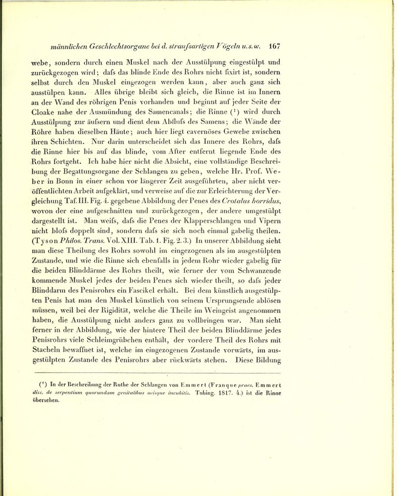 webe> sondern durch einen Muskel nach der Ausstülpung eingestülpt und zurückgezogen wird ; dafs das blinde Ende des Rohrs nicht fixirt ist, sondern selbst durch den Muskel eingezogen werden kann, aber auch ganz sich ausstülpen kann. Alles übrige bleibt sich gleich, die Rinne ist im Innern an der Wand des rührigen Penis vorhanden und beginnt auf jeder Seite der Cloake nahe der Ausmündung des Satnencanals; die Rinne (’) wird dux’ch Ausstülpung zur äufsern und dient dem Abllufs des Samens; die Wände der Röhre haben dieselben Häute; auch hier liegt cavernöses Gewebe zwischen ihren Schichten. Nur darin unterscheidet sich das Innere des Rohrs, dafs die Rinne hier bis auf das blinde, vom After entfernt liegende Ende des Rohrs fortgeht. Ich habe hier nicht die Absicht, eine vollständige Beschrei- bung der Begattungsorgane der Schlangen zu geben, welche Ilr, Prof. We- ber in Bonn in einer schon vor längerer Zeit ausgeführten, aber nicht ver- öffentlichten Arbeit aufgeklärt, und verweise auf die zur Erleichterung der Ver- gleichung Taf.III. Fig. 4. gegebene Abbildung der Penes des Crolalus horn’idits, wovon der eine aufgeschnitten und zurückgezogen, der andere umgestülpt dargestellt ist. Man weifs, dafs die Penes der Klapperschlangen und Vipern nicht blofs doppelt sind, sondern dafs sie sich noch einmal gabelig theilen. (Tyson Philos. Trans. Vol. XIII. Tab. 1. Fig. 2.3.) In unserer Abbildung sieht man diese Theilung des Rohrs sowohl im eingezogenen als im ausgestülpten Zustande, und wie die Rinne sich ebenfalls in jedem Rohr wieder gabelig für die beiden Blinddärme des Rohrs theilt, wie ferner der vom Schwanzende kommende Muskel jedes der beiden Penes sich wieder theilt, so dafs jeder Blinddarm des Penisrohrs ein Eascikel erhält. Bei dem künstlich ausgestülp- ten Penis hat man den Muskel künstlich von seinem Ursprungsende ablösen müssen, weil bei der Rigidität, welche die Theile im Weingeist angenommen haben, die Ausstülpung nicht anders ganz zu vollbringen war. Man sieht ferner in der Abbildung, wie der hintere Theil der beiden Blinddärme jedes Penisrohrs viele Schleimgrübchen enthält, der vordere Theil des Rohrs mit Staeheln bewaffnet ist, welche im eingezogenen Zustande vorwärts, im aus- gestülpten Zustande des Penisrohrs aber rückwärts stehen. Diese Bildung (') In der BeschrelLiing der Rutlie der Sclilangen von Eni m e r t (Fran qu e praes. E m m er t diss. de serpenliian qunrundam genilaHbus ovisque incubi/is. Tublng. 1817. 4.) ist die Rinne übersehen.