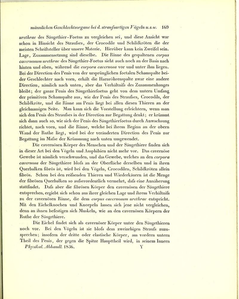 urethrae des Säugetliier-Foetiis zu vergleichen sei, und diese Ansicht war schon in Hinsicht des Straufses, der Crocodile und Schildkröten die der meisten Schriftsteller über unsere Materie. Hierüber kann kein Zweifel sein. Lage, Zusammensetzung sind dieselbe. Die Rinne des gespaltenen corpus cavernosum urethrae des Säugethier-Foetus sieht auch noch an der Basis nach hinten und oben, während die Corpora caeernosa vor und unter ihm liegen. Bei der Direction des Penis von der lu’sprünglichen foetalen Schamspalte bei- der Geschlechter nach vorn, erhält die Harnröhrenspalte zwar eine andere Direction, nämlich nach unten, aber das Yerhältnifs des Zusammenhanges bleibt; der ganze Penis des Säugethierfoetiis geht von dem untern Umfang der primitiven Schamspalte aus, wie der Penis des Straufses, Crocodils, der Schildkröte, und die Rinne am Penis liegt hei allen diesen Thieren an der gleichnamigen Seite. Man kann sich die Vorstellung erleichtern, wenn man sich den Penis des Straufses in der Direction zur Begattung denkt; er krümmt sich dann auch so, wie sich der Penis des Säugethierfoetiis durch Anwachsung richtet, nach vorn, und die Pxinne, welche hei ihrem Beginn an der obern Wand der Ruthe liegt, wird hei der veränderten Direction des Penis zur Begattung im Mafse der Krümmung nach unten umgewendet. Die cavernösen Körper des Menschen und der Säugethiere linden sich in dieser Art hei den Vögeln und Amphibien nicht mehr vor. Das cavernöse Gewebe ist nämlich verschwunden, und das Gewebe, welches an den corpora cavernosa der Säugethiere blofs an der Oberfläche derselben und in ihren Querbalken fibrös ist, wird hei den Vögeln, Crocodilen, Schildkröten allein fibrös. Schon hei den reifsenden Thieren und Wiederkäuern ist die Menge der fibrösen Querbalken so aufserordentlich vermehrt, dafs eine Annäherung stattfindet. Dafs aber die fibrösen Körper den cavernösen der Säugethiere entsprechen, ergieht sich schon aus ihrer gleichen Lage und ihrem Verhältnifs zu der cavernösen Rinne, die dem corpus cavernosum urethrae entspricht. Mit den Eichelknochen und Knorpeln lassen sich jene nicht vergleichen, denn an ihnen befestigen sich Muskeln, wie an den cavernösen Körpern der Ruthe der Säugethiere. Die Eichel findet sich als cavernöser Körper unter den Säugethieren noch vor. Bei den Vögeln ist sie blofs dem zweizeiligen Straufs zuzu- sprechen; insofern der dritte oder elastische Körper, am vordem untern Theil des Penis, der gegen die Spitze Haupttheil wird, in seinem Innern Phjsikcd. Abhandl. 1836. Y