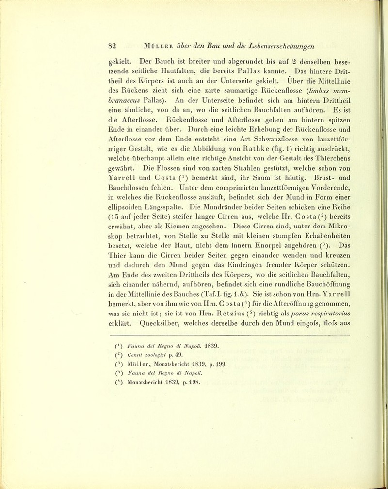 gekielt. Der Bauch ist breiter und abgerundet bis auf 2 denselben bese- tzende seitliche Hautfalten, die bereits Pallas kannte. Das hintere Drit- theil des Körpers ist auch an der Unterseite gekielt. Uber die Mittellinie des Rückens zieht sich eine zarte saumartige Rückenflosse (limbus mem- branaceus Pallas). An der Unterseite befindet sich am hintern Drittheil eine ähnliche, von da an, wo die seitlichen Bauchfalten aufhören. Es ist die Afterflosse. Rückenflosse und Afterflosse gehen am hintern spitzen Ende in einander über. Durch eine leichte Erhebung der Rückenflosse und Afterflosse vor dem Ende entsteht eine Art Schwanzflosse von lanzettför- miger Gestalt, wie es die Abbildung von Rathke (fig, 1) richtig ausdrückt, welche überhaupt allein eine richtige Ansicht von der Gestalt des Thierchens gewährt. Die Flossen sind von zarten Strahlen gestützt, welche schon von Yarrell und Costa (‘) bemerkt sind, ihr Saum ist häutig. Brust- und Bauchflossen fehlen. Unter dem comprimirten lanzettförmigen Vorderende, in welches die Rückenflosse ausläuft, befindet sich der Mund in Form einer ellipsoiden Längsspalte. Die Mundränder beider Seiten schicken eine Reihe (15 auf jeder Seite) steifer langer Cirren aus, welche Hr. Costa (^) bereits erwähnt, aber als Kiemen angesehen. Diese Cirren sind, unter dem Mikro- skop betrachtet, von Stelle zu Stelle mit kleinen stumpfen Erhabenheiten besetzt, welche der Haut, nicht dem innern Knorpel angehören (^). Das Thier kann die Cirren beider Seiten gegen einander wenden und kreuzen und dadurch den Mund gegen das Eindringen fremder Körper schützen. Am Ende des zweiten Drittheils des Körpers, wo die seitlichen Bauchfalten, sich einander nähernd, aufhören, befindet sich eine rundliche Bauchöffnung in der Mittellinie des Bauches (Taf.I. fig. l.i.). Sie ist schon von Hrn. Yarrell bemerkt, aber von ihm wie von Hrn. C osta (‘^) für die Afteröffnung genommen, was sie nicht ist; sie ist von Hrn. Retzius (^) richtig als porus respiratorius erklärt. Quecksilber, welches derselbe durch den Mund eingofs, flofs aus (') Fauna del Regno di Napoli. 1839. Cenni zoologici p. 49. (^) Älüller, Monatsbericht 1839, p. 199. (^) Fauna del Regno di Napoli. (^) Monatsbericht 1839, p. 198.