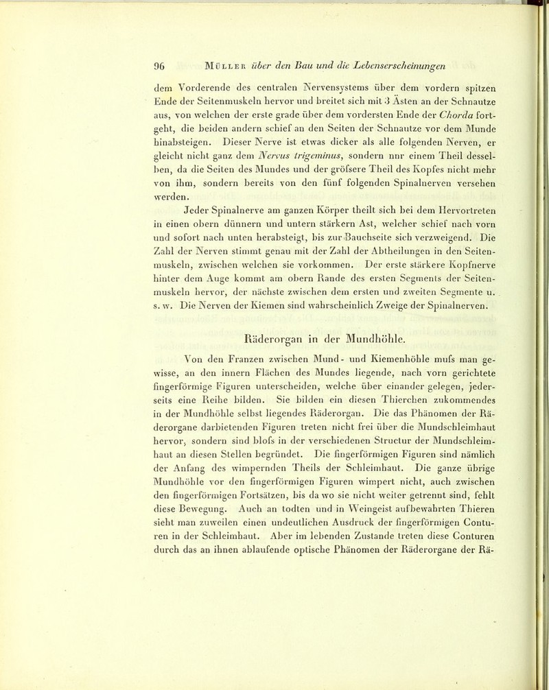 dem Vorderende des centralen Nervensystems über dem vordem spitzen Ende der Seitenmuskeln hervor und breitet sich mit 3 Asten an der Schnautze aus, von welchen der erste grade über dem vordersten Ende der Chorda fort- geht, die beiden andern schief an den Seiten der Schnautze vor dem Munde hinabsteigen. Dieser Nerve ist etwas dicker als alle folgenden Nerven, er gleicht nicht ganz dem NejTus irigeminus, sondern nnr einem Theil dessel- ben, da die Seiten des Mundes und der gröfsere Theil des Kopfes nicht mehr von ihm, sondern bereits von den fünf folgenden Spinalnerven versehen werden. Jeder Spinalnerve am ganzen Körper theilt sich bei dem Hervortreten in einen obern dünnem und untern starkem Ast, welcher schief nach vorn und sofort nach unten herabsteigt, bis zur Bauchseite sich verzweigend. Die Zahl der Nerven stimmt genau mit der Zahl der Abtheilnngen in den Seiten- muskeln, zwischen welchen sie Vorkommen. Der erste stärkere Kopfnerve hinter dem Auge kommt am obern Rande des ersten Segments der Seiten- muskeln hervor, der nächste zwischen dem ersten und zweiten Segmente u. s. w. Die Nerven der Kiemen sind wahrscheinlich Zweige der Spinalnerven. Pväderorgan in der Mundhöhle. Von den Franzen zwischen Mund- und Kiemenhöhle mufs man ge- wisse, an den Innern Flächen des Mundes liegende, nach vorn gerichtete fingerförmige Figuren unterscheiden, welche über einander gelegen, jeder- seits eine Reihe bilden. Sie bilden ein diesen Thierchen zukommendes in der Mundhöhle selbst liegendes Räderorgan. Die das Phänomen der Rä- derorgane dai’bietenden Figuren treten nicht frei über die Mundschleimhaut hervor, sondern sind blofs in der verschiedenen Structur der Mundschleim- haut an diesen Stellen begründet. Die fingerförmigen Figuren sind nämlich der Anfang des wimpernden Theils der Schleimhaut. Die ganze übrige Mundhöhle vor den fingerförmigen Figuren wimpert nicht, auch zwischen den fingerförmigen Fortsätzen, bis da wo sie nicht weiter getrennt sind, fehlt diese Bewegung. Auch an todten und in Weingeist aufbewahrten Thieren sieht man zuweilen einen undeutlichen Ausdruck der fingerförmigen Contu- ren in der Schleimhaut. Aber im lebenden Zustande treten diese Conturen durch das an ihnen ablaufende optische Phänomen der Räderorgane der Rä-