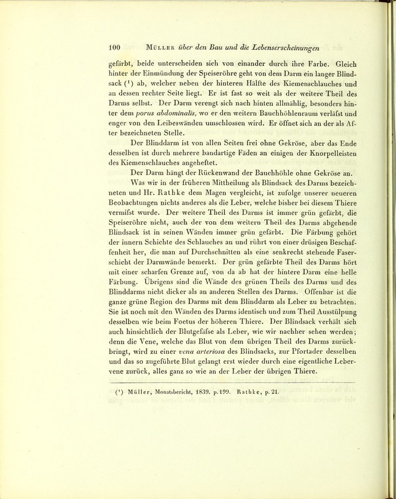 gefärbt, beide unterscheiden sich von einander durch ihre Farbe. Gleich hinter der Einmündung der Speiseröhre geht von dem Darm ein langer Blind- sack (‘) ab, welcher neben der hinteren Hälfte des Kiemenschlauches und an dessen rechter Seite liegt. Er ist fast so weit als der weitere Theil des Darms selbst. Der Darm verengt sich nach hinten allmählig, besonders hin- ter dem porus abdominalis, wo er den weitern Bauchhöhlenraum verläfst und enger von den Leibeswänden umschlossen wird. Er öffnet sich an der als Af- ter bezeichneten Stelle. Der Blinddarm ist von allen Seiten frei ohne Gekröse, aber das Ende desselben ist durch mehrere bandartige Fäden an einigen der Knorpelleisten des Kiemenschlauches angeheftet. Der Darm hängt der Rückenwand der Bauchhöhle ohne Gekröse an. Was wir in der früheren Mittheilung als Blindsack des Darms bezeich- neten und Hr. Rathke dem Magen vergleicht, ist zufolge unserer neueren Beobachtungen nichts anderes als die Leber, welche bisher bei diesem Thiere vermifst wurde. Der weitere Theil des Darms ist immer grün gefärbt, die Speiseröhre nicht, auch der von dem weitern Theil des Darms ahgehende Blindsack ist in seinen Wänden immer grün gefärbt. Die Färbung gehört der innern Schichte des Schlauches an und rührt von einer drüsigen Beschaf- fenheit her, die man auf Durchschnitten als eine senkrecht stehende Faser- schicht der Darmwände bemerkt. Der grün gefärbte Theil des Darms hört mit einer scharfen Grenze auf, von da ab hat der hintere Darm eine helle Färbung, übrigens sind die Wände des grünen Theils des Darms und des Blinddarms nicht dicker als an anderen Stellen des Darms. Offenbar ist die ganze grüne Region des Darms mit dem Blinddarm als Leber zu betrachten. Sie ist noch mit den Wänden des Darms identisch und zum Theil Ausstülpung desselben wie beim Foetus der höheren Thiere. Der Blindsack verhält sich auch hinsichtlich der Blutgefäfse als Leber, wie wir nachher sehen werden; denn die Vene, welche das Blut von dem übrigen Theil des Darms zurück- bringt, w'ird zu einer vena arteriosa des Blindsacks, zur Pfortader desselben und das so zugeführte Blut gelangt erst wieder durch eine eigentliche Leber- vene zurück, alles ganz so wie an der Leber der übrigen Thiei’e. (') Müller, Monatsbericht, 1839. p. 199. Rathke, p. 21.